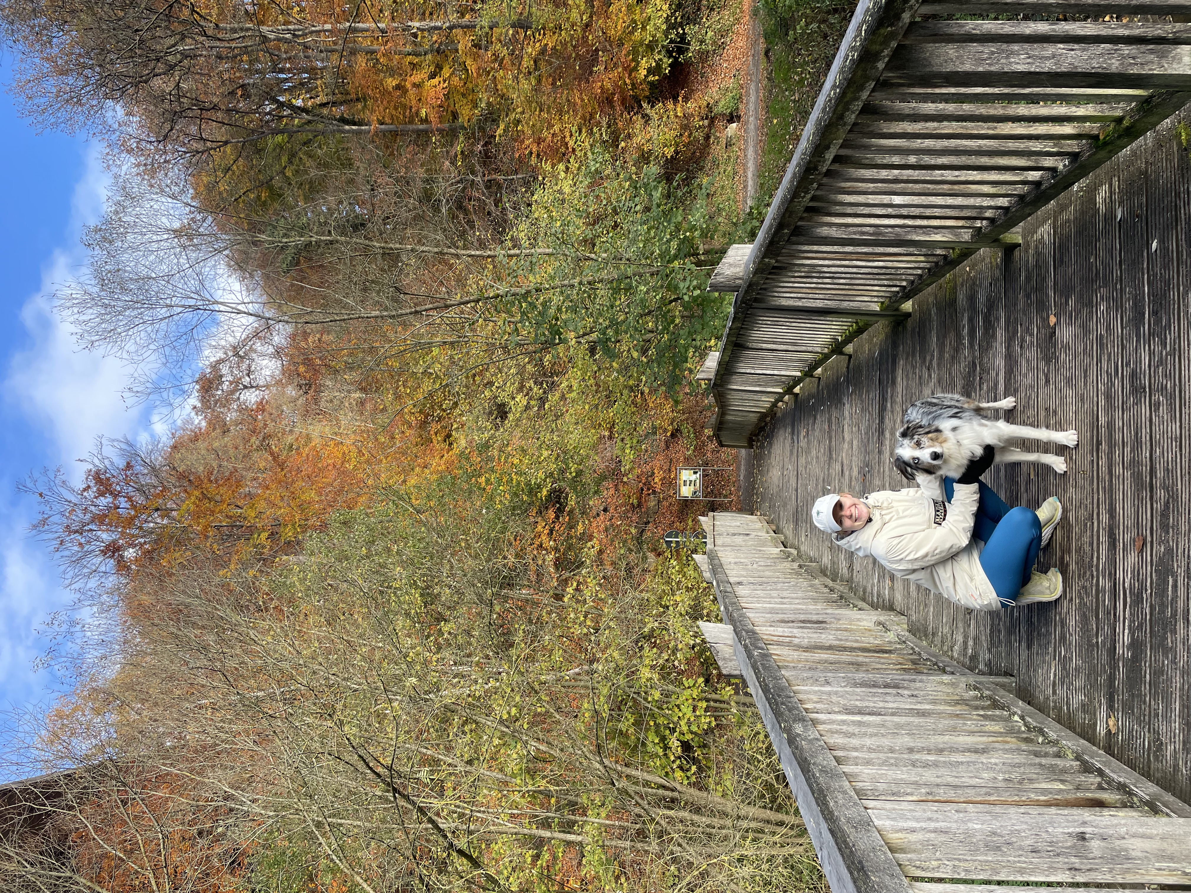 image-0