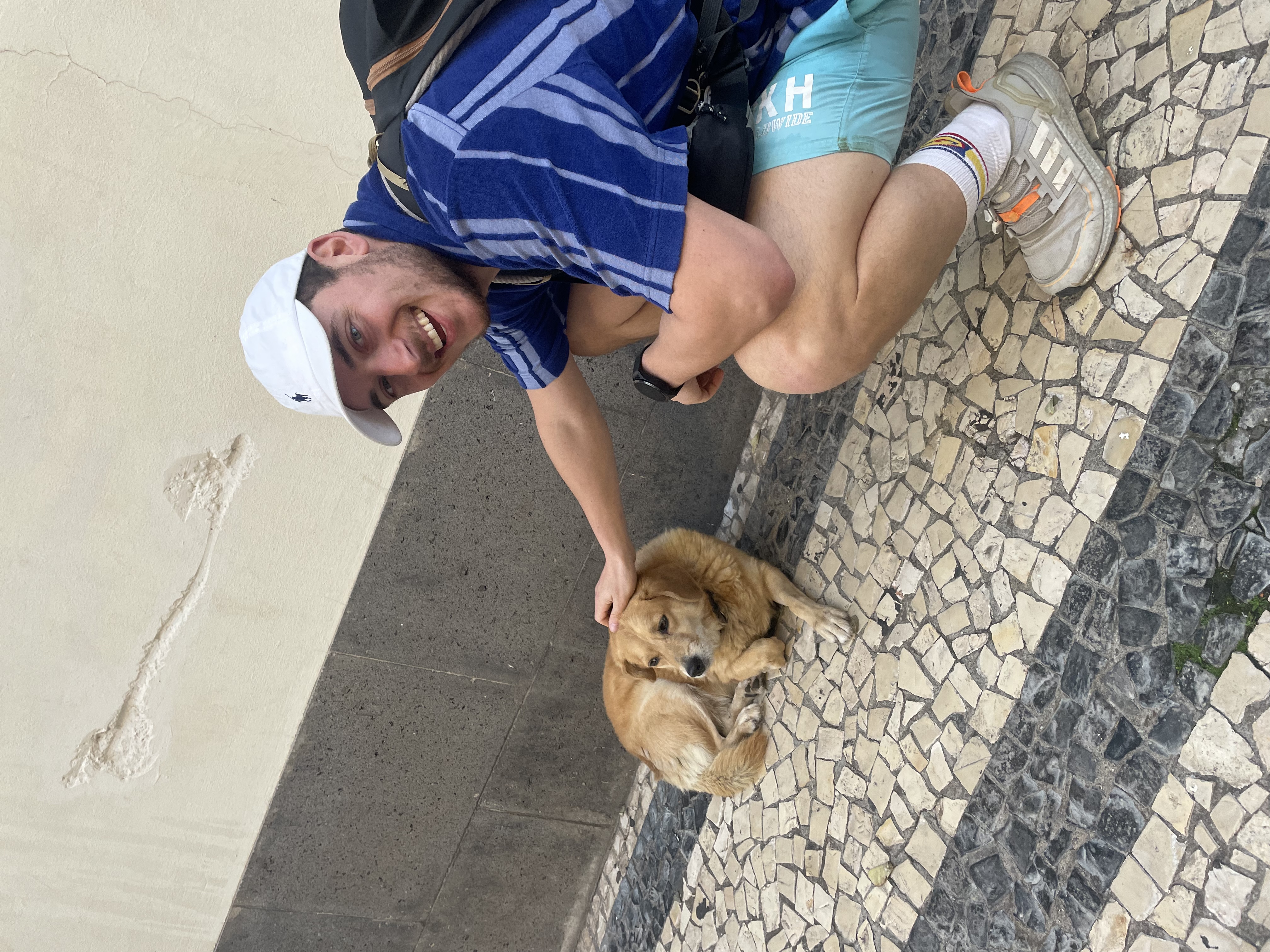 image-7