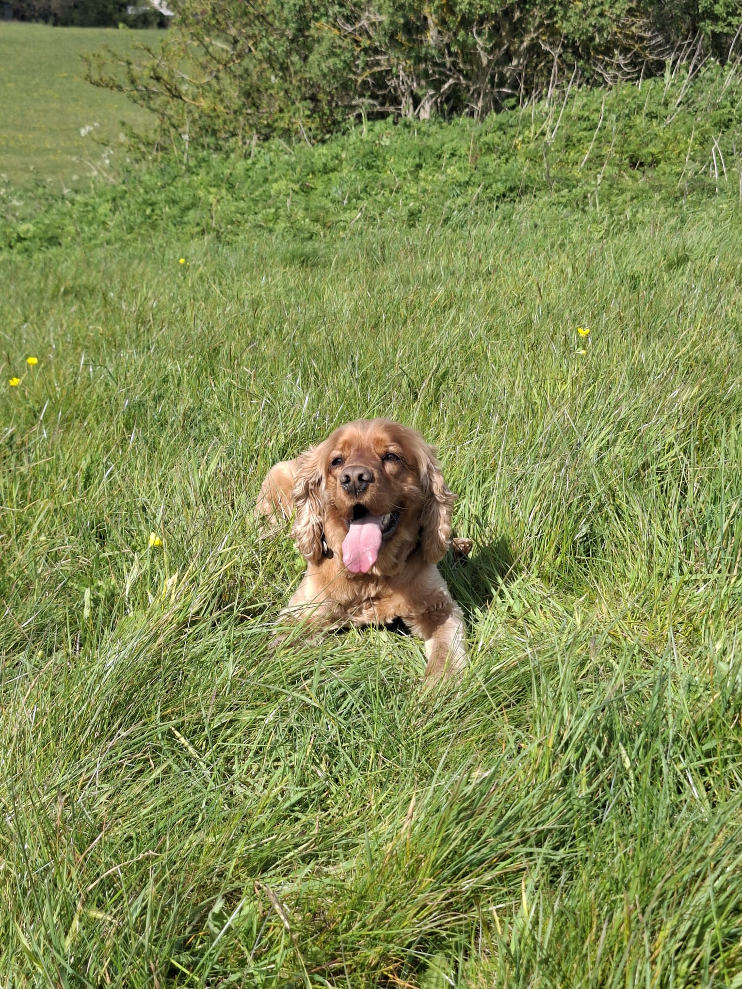 image-6