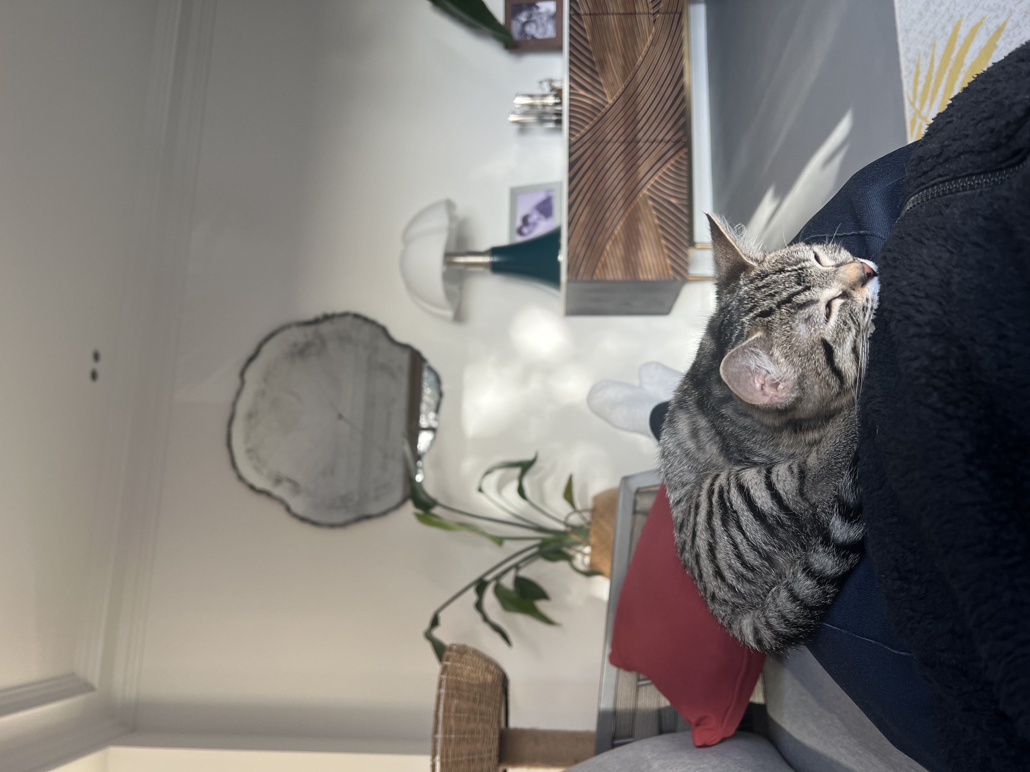 image-6