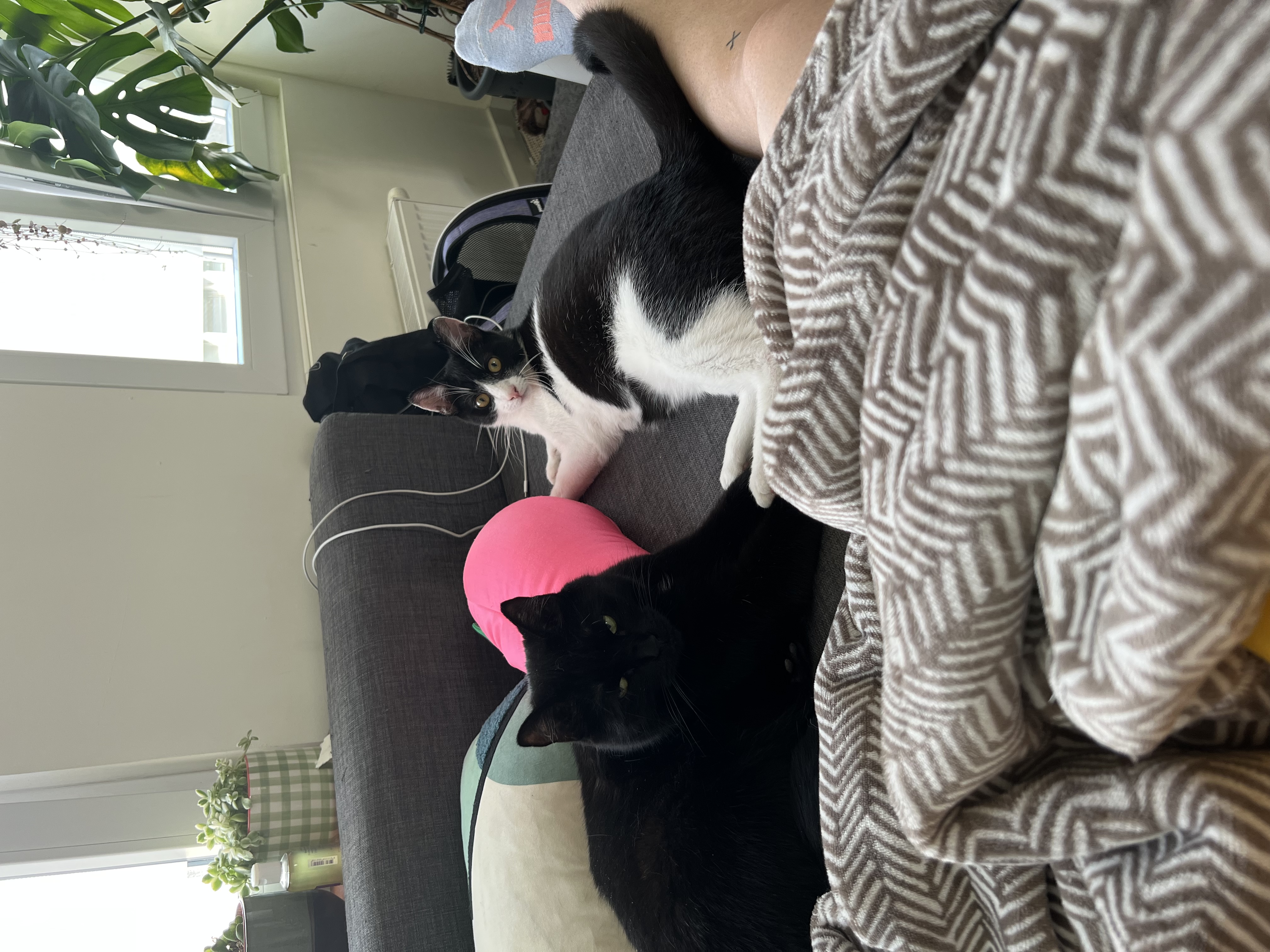 image-10