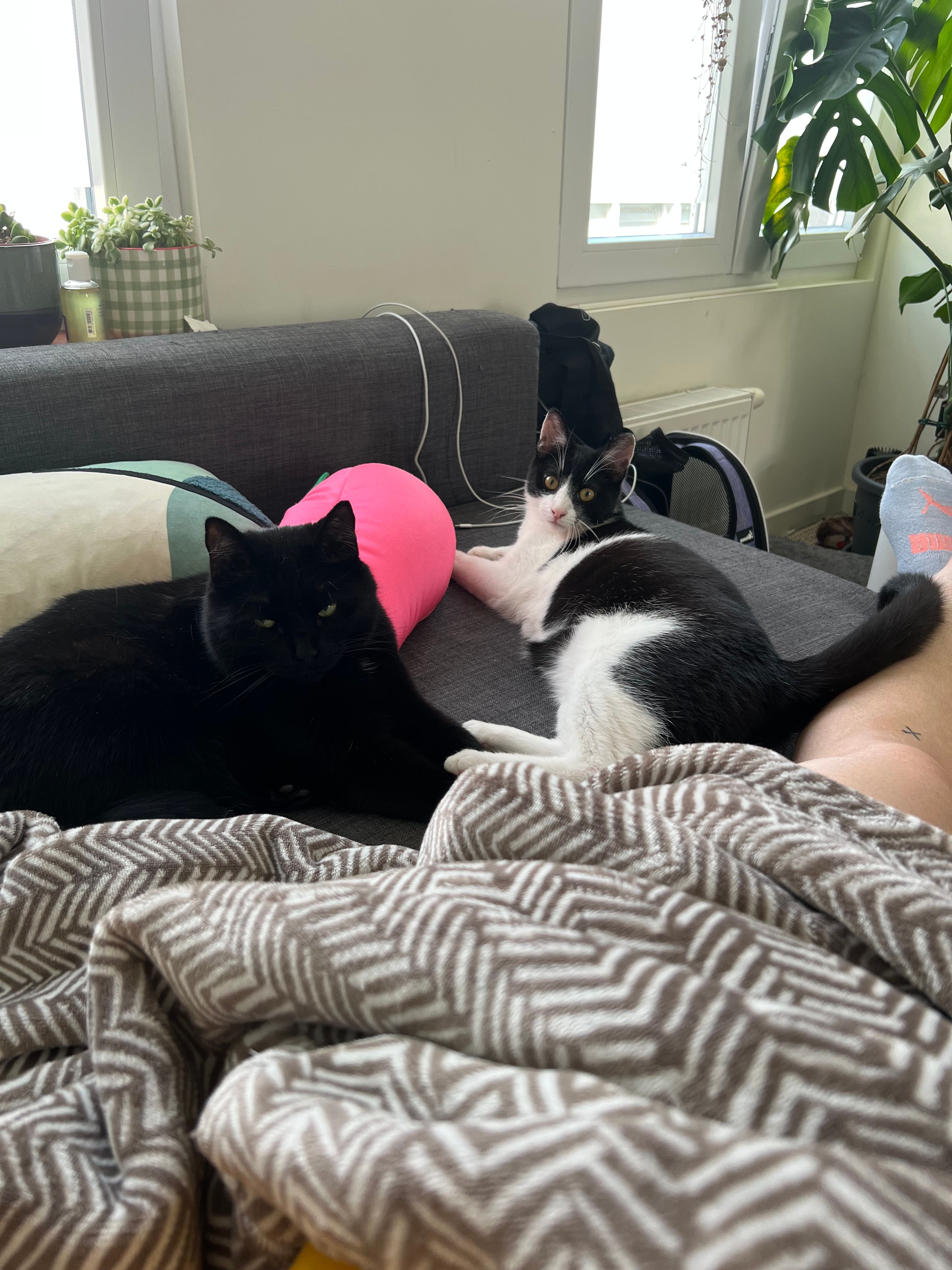 image-10