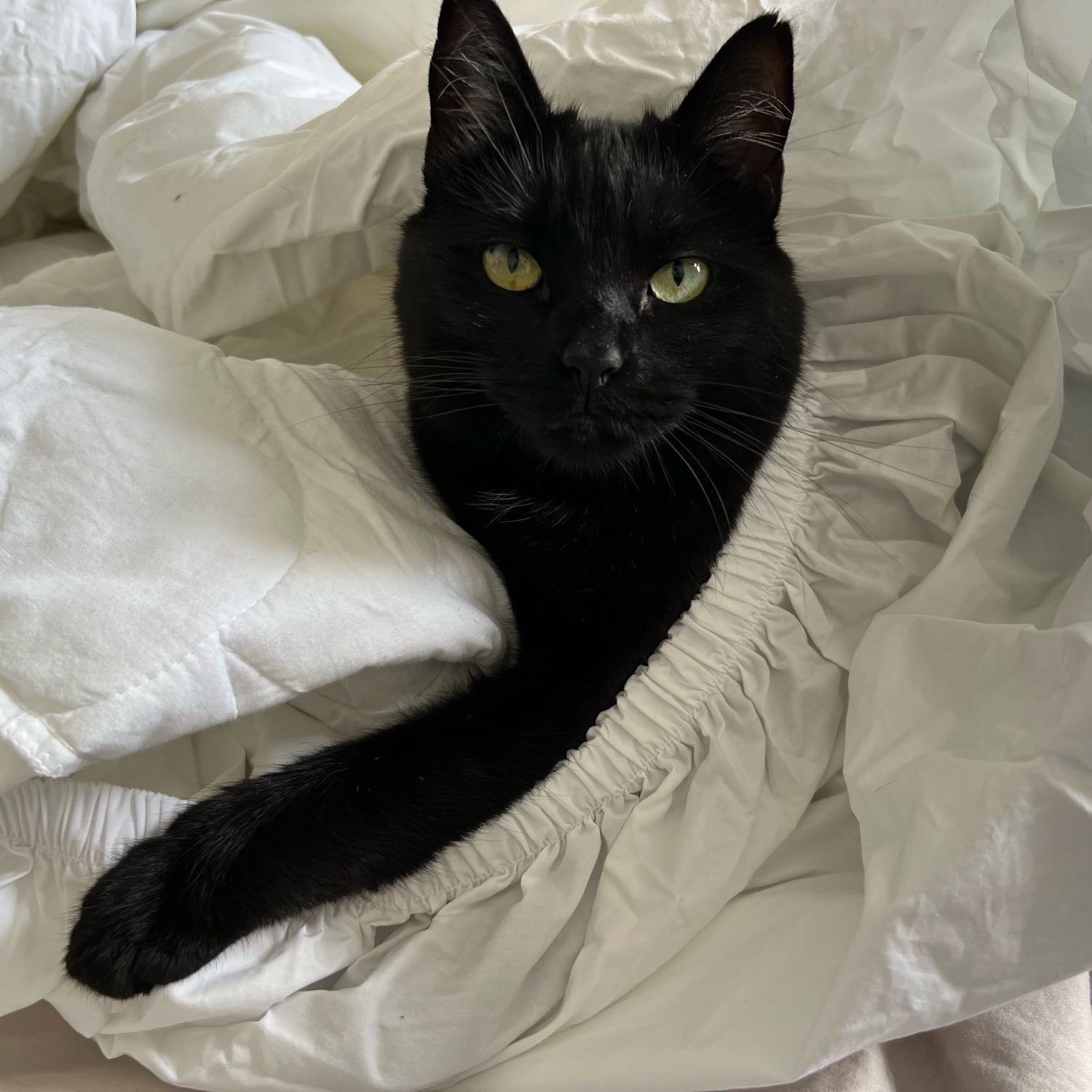 Elizabeth