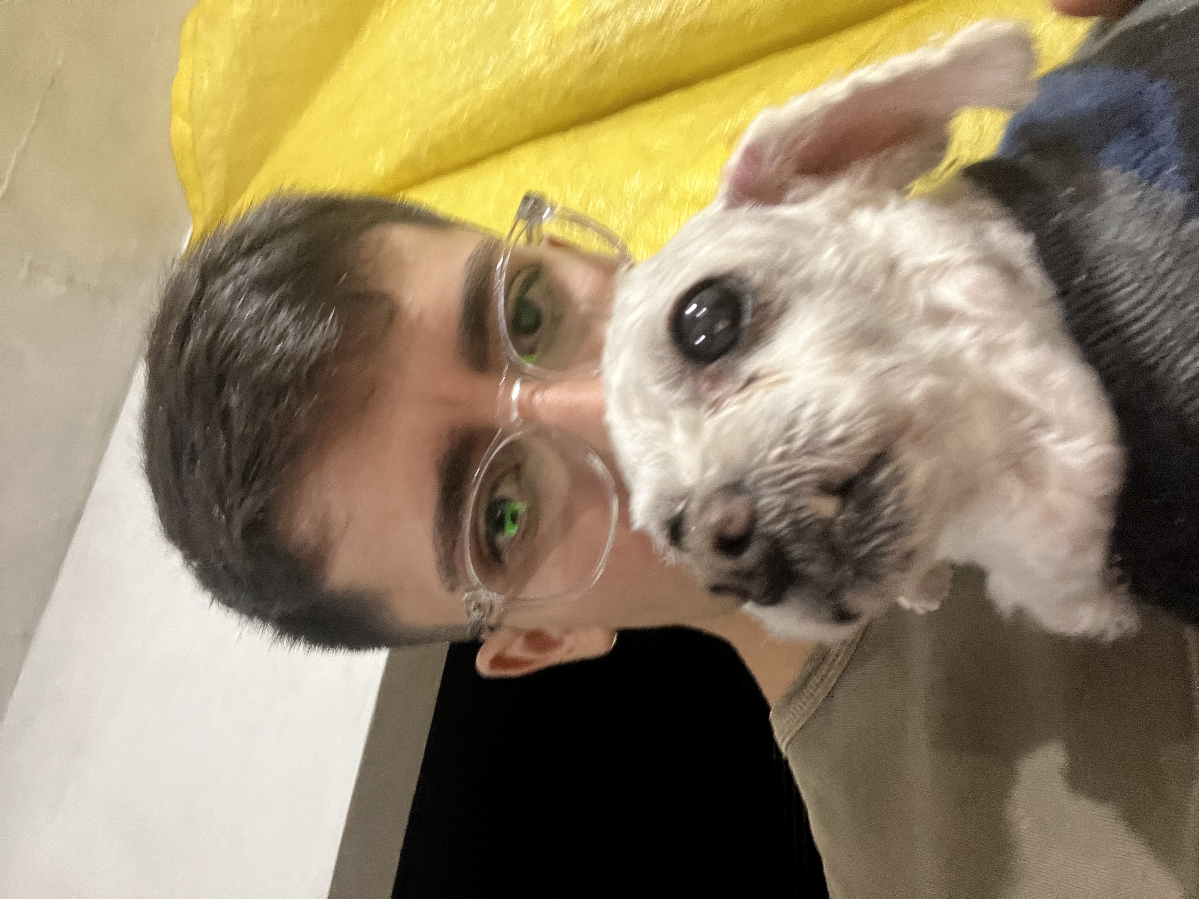 image-5