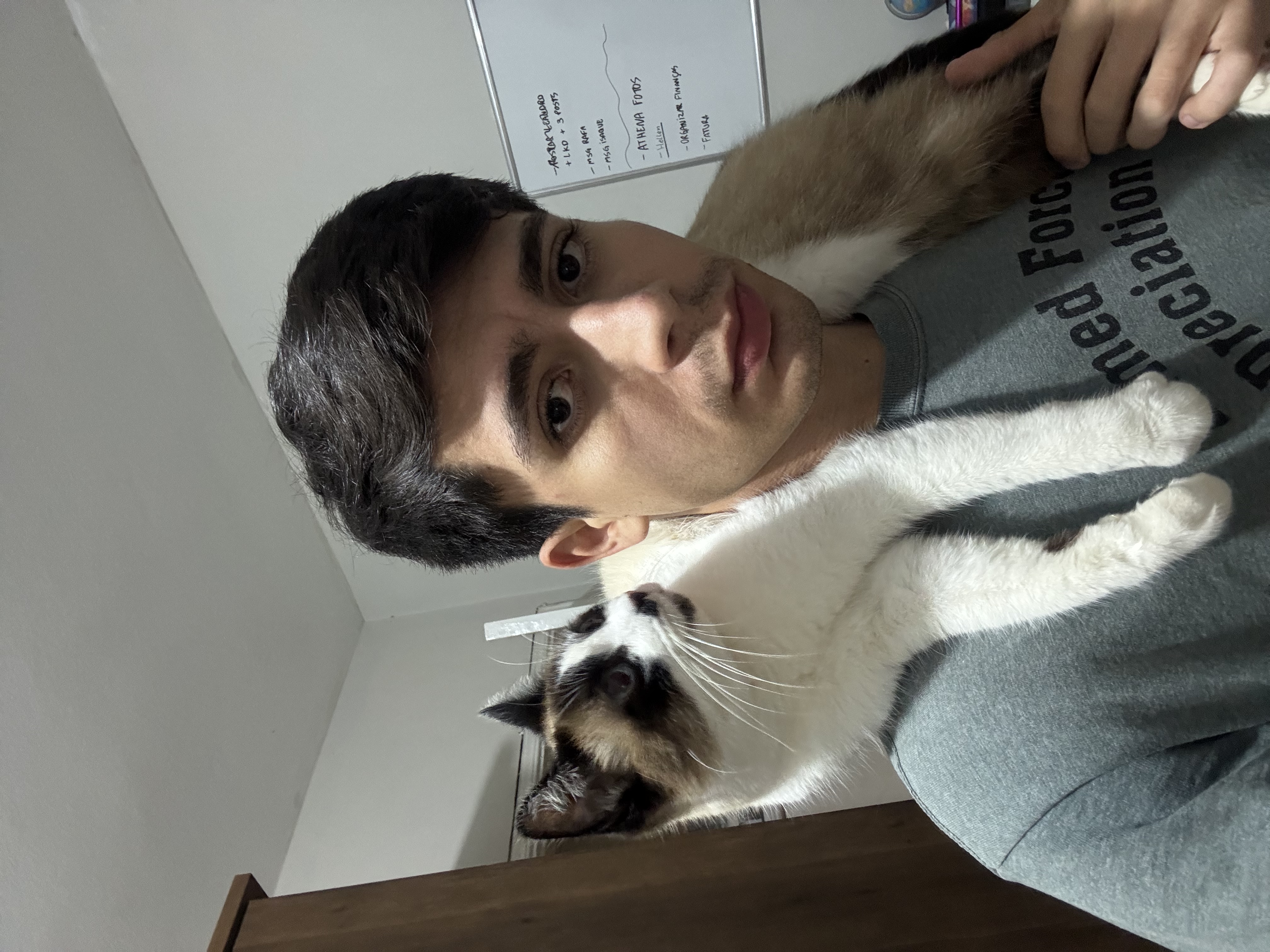 image-7