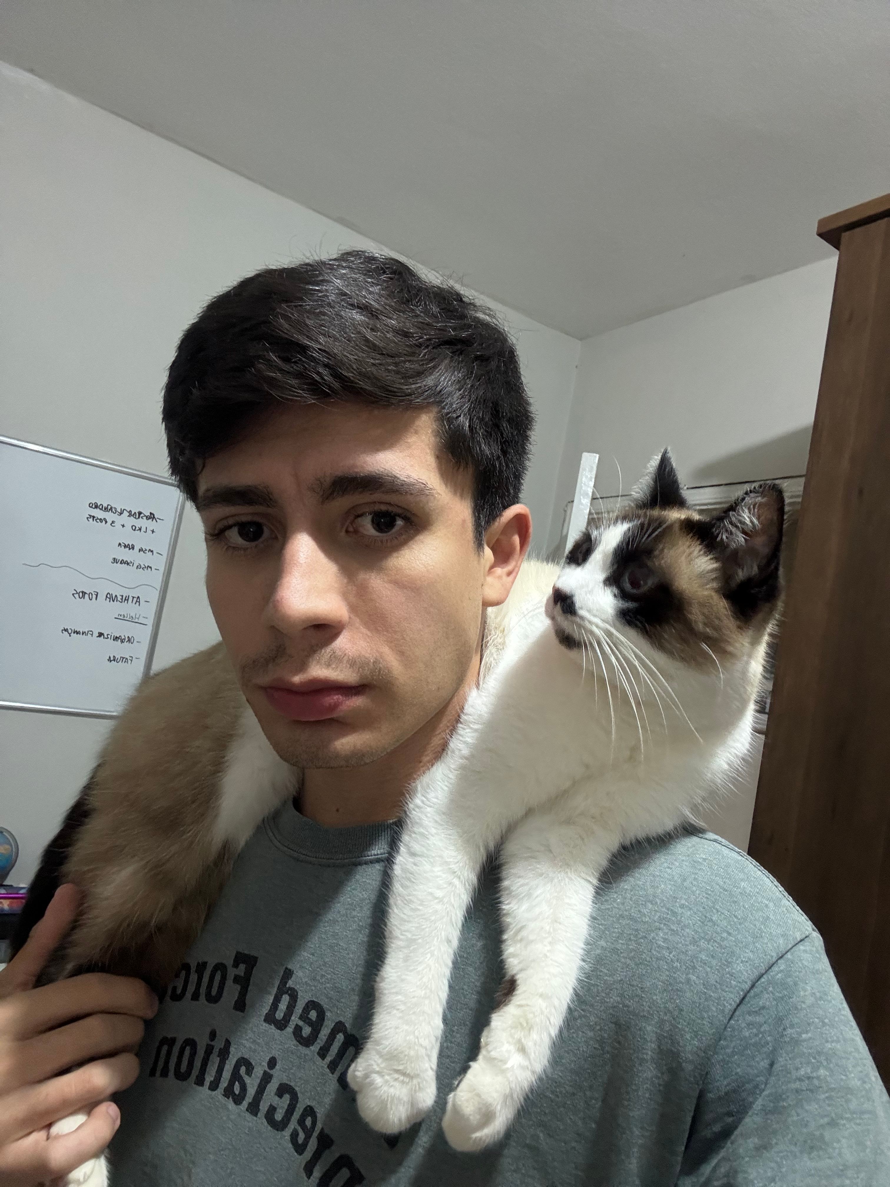 image-7