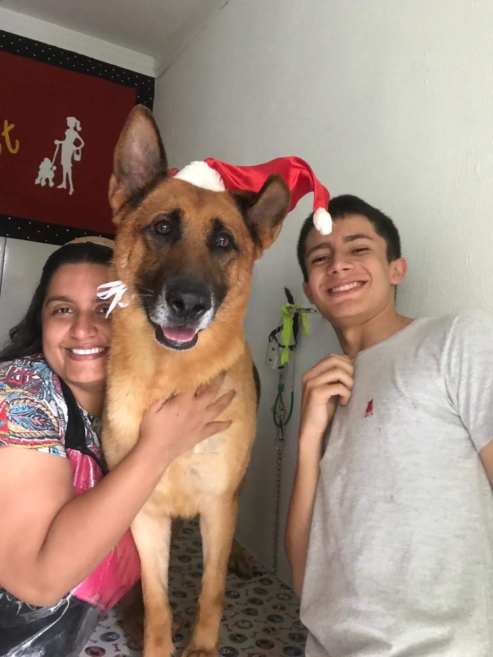 image-8