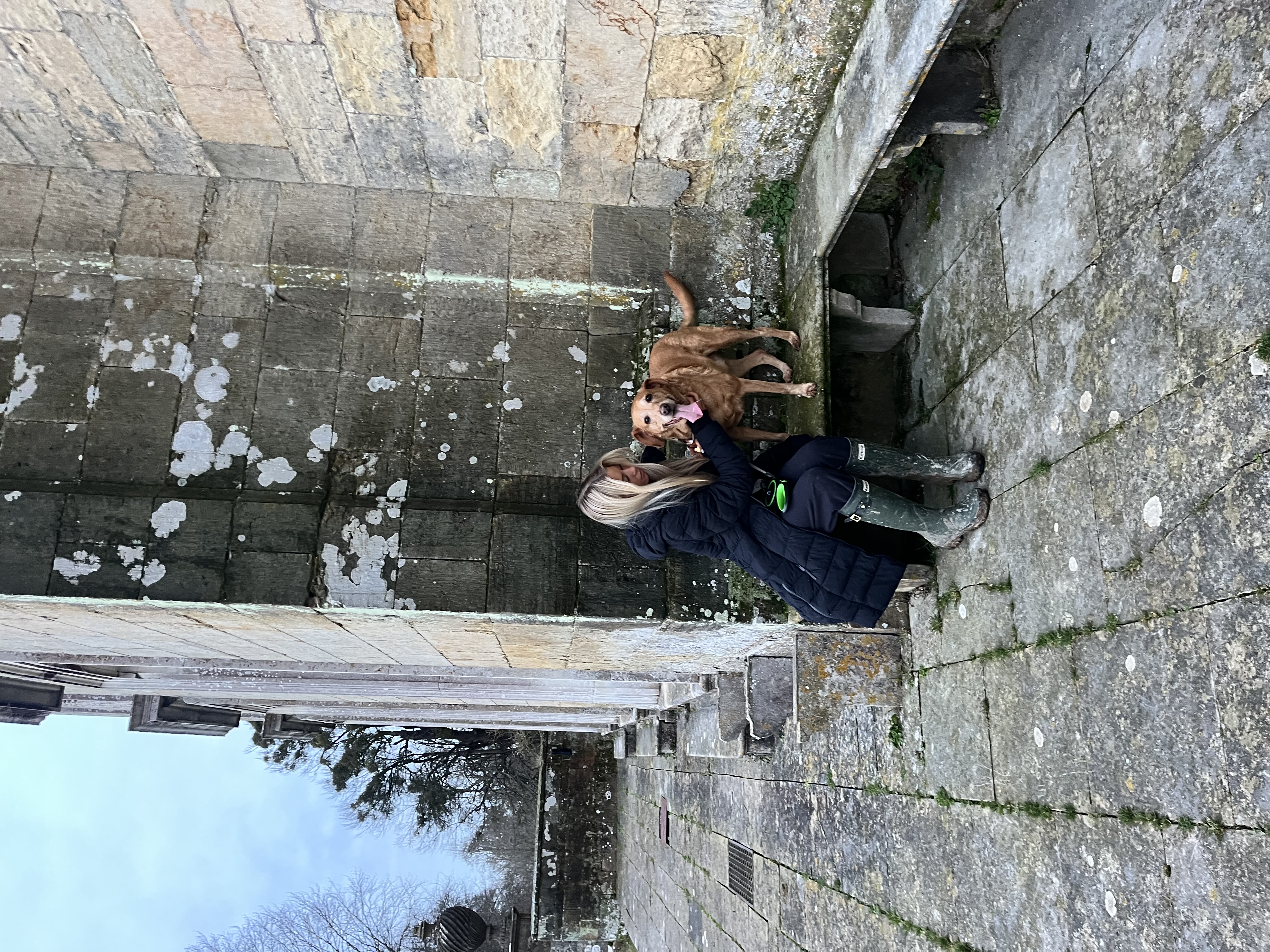 image-3