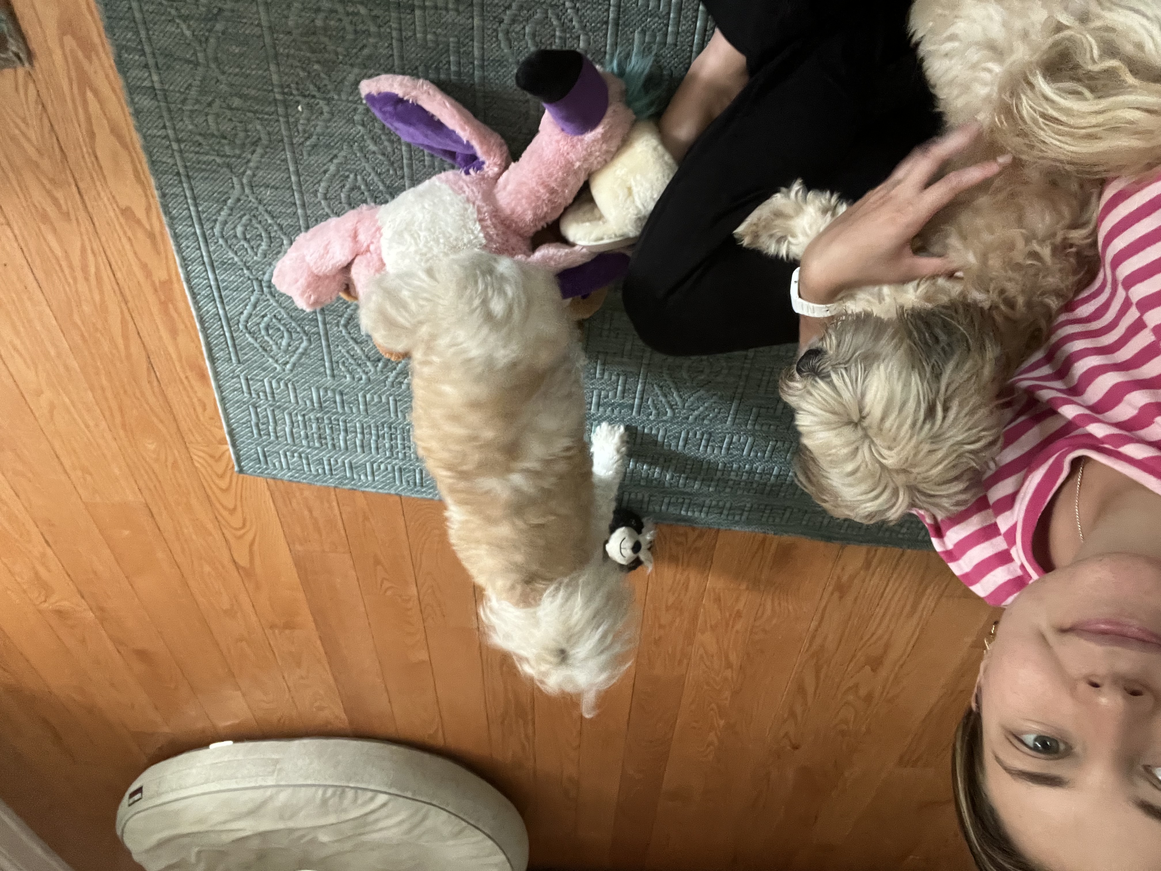 image-9