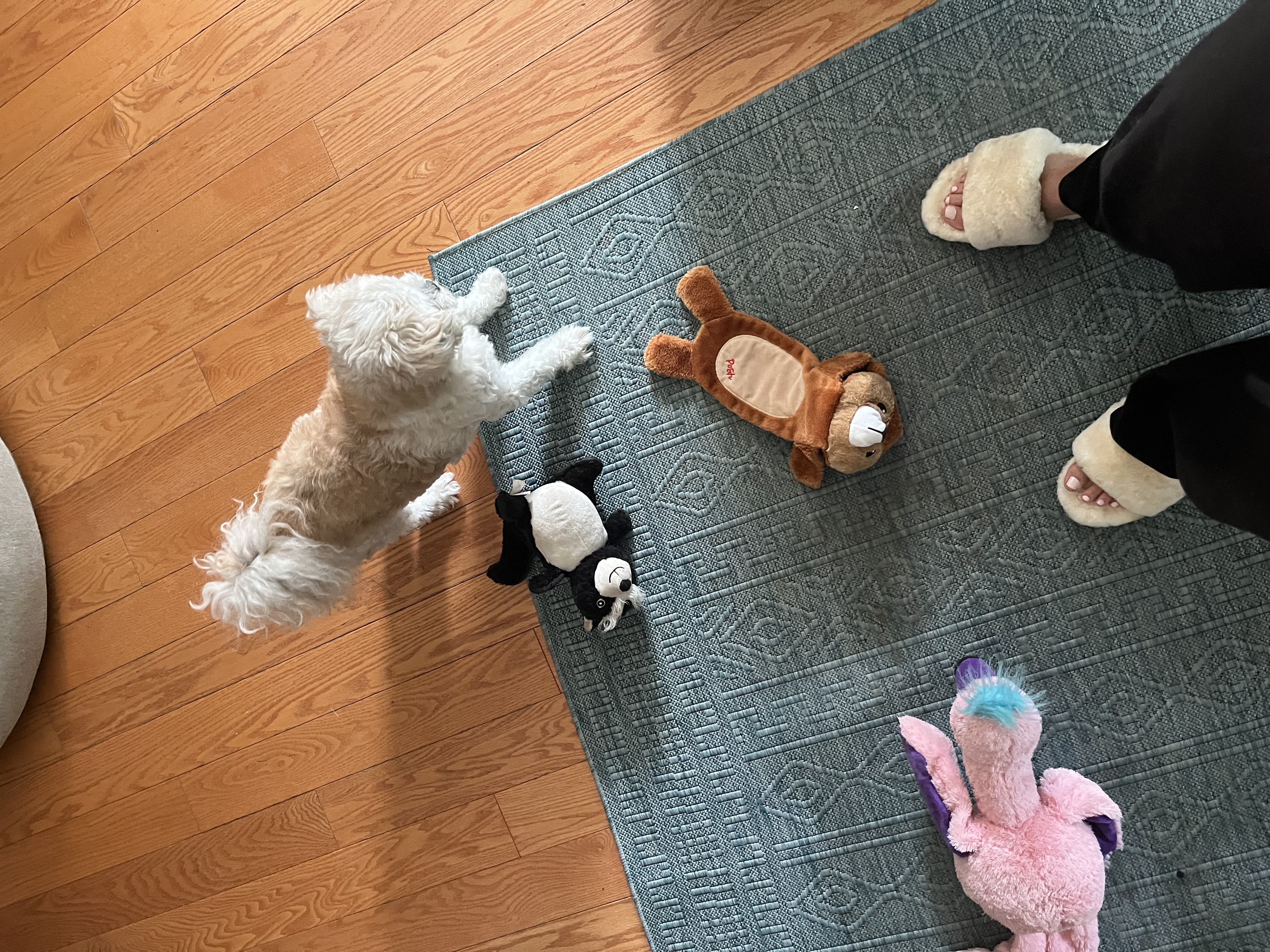 image-8