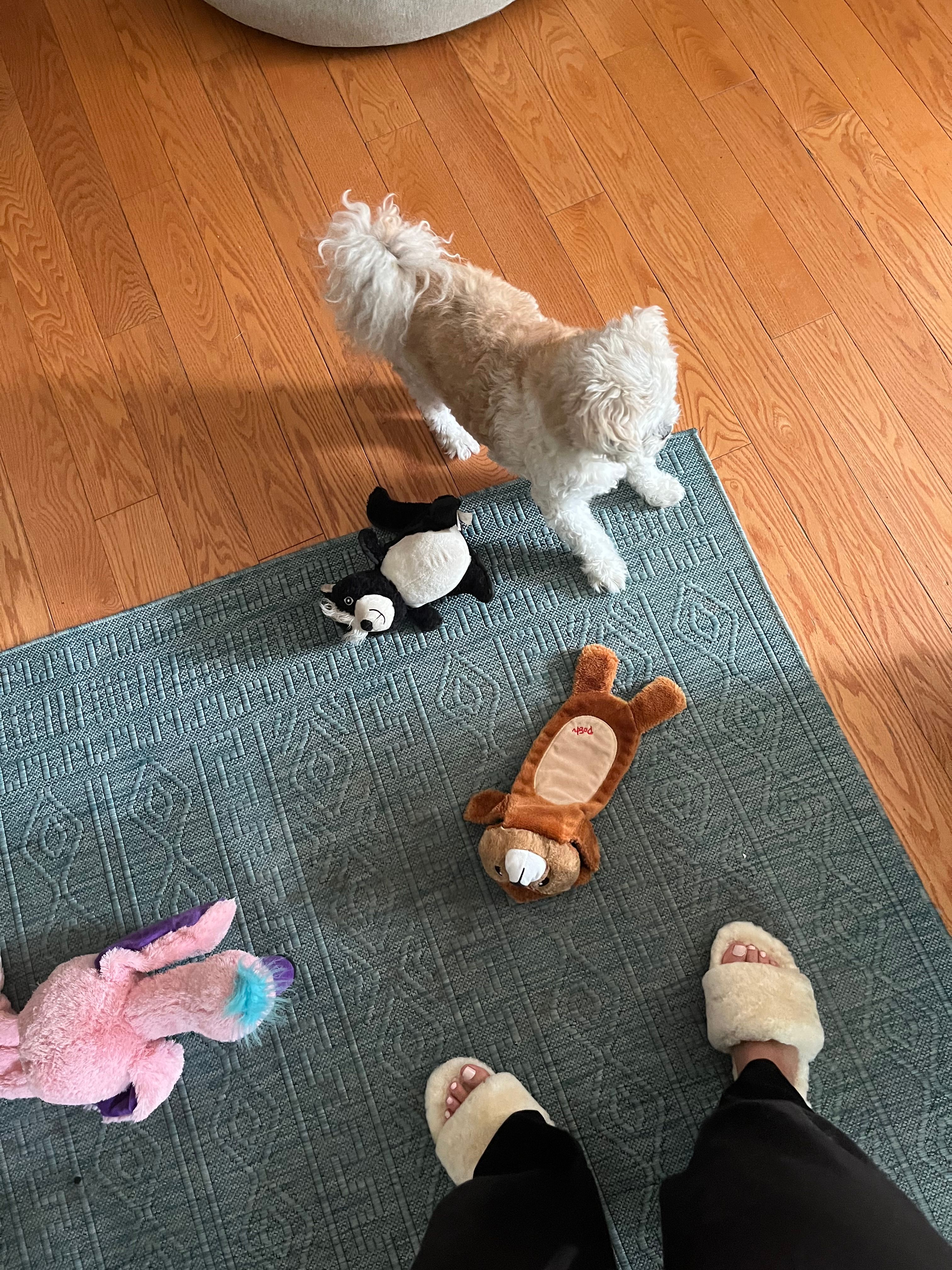 image-8