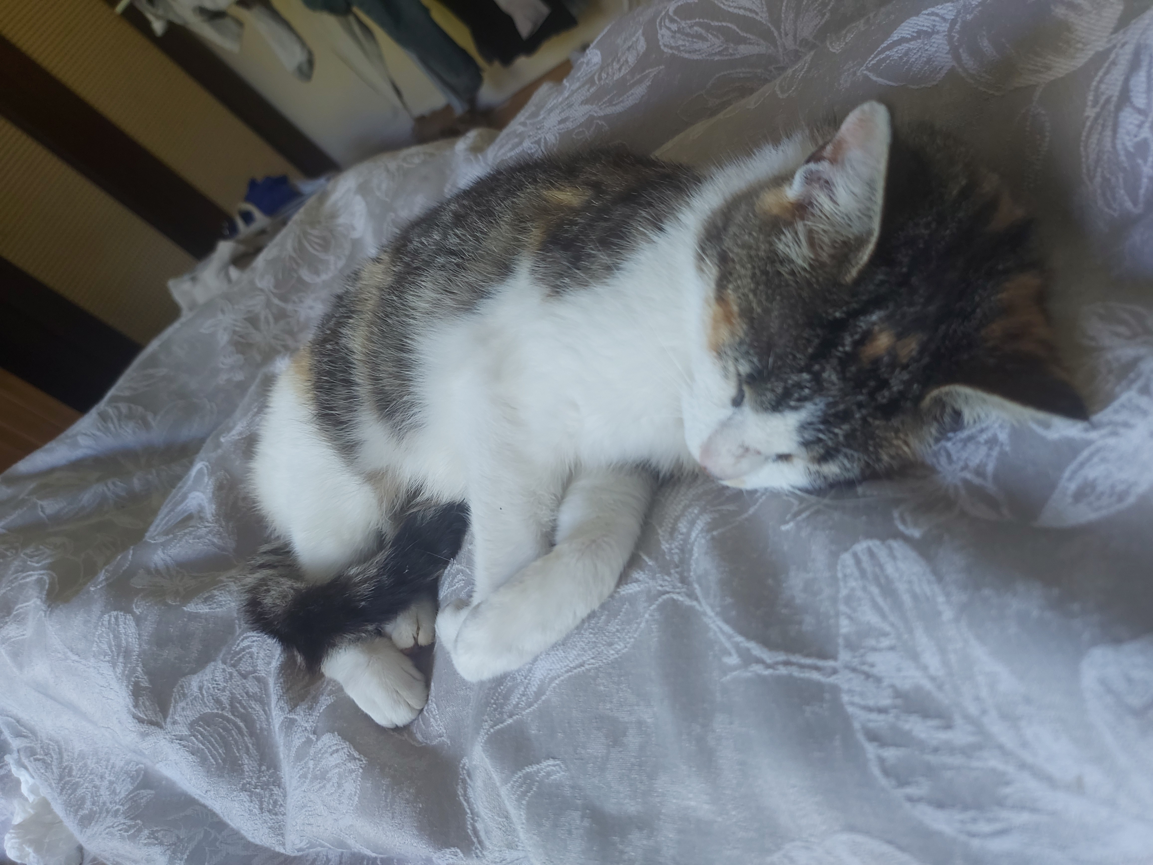 image-8