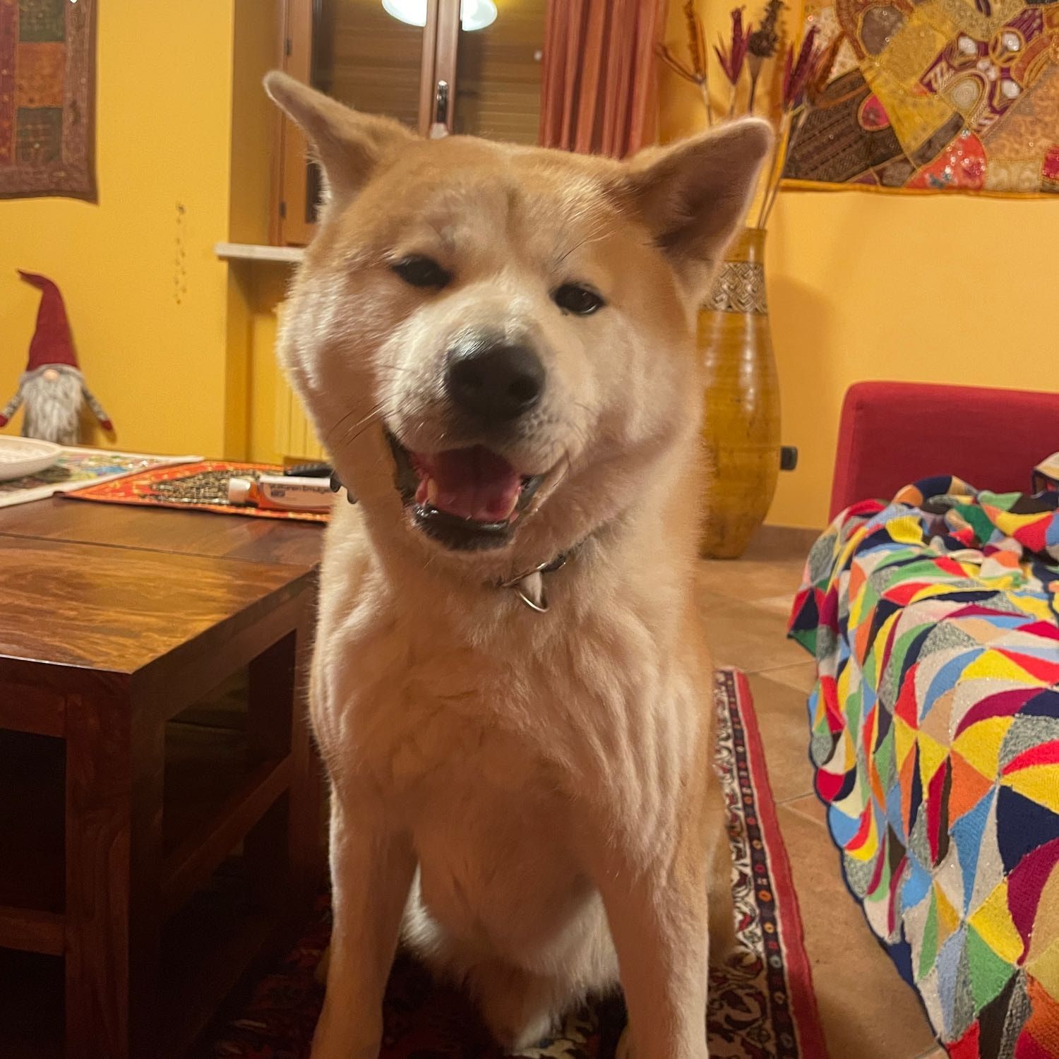 Akira
