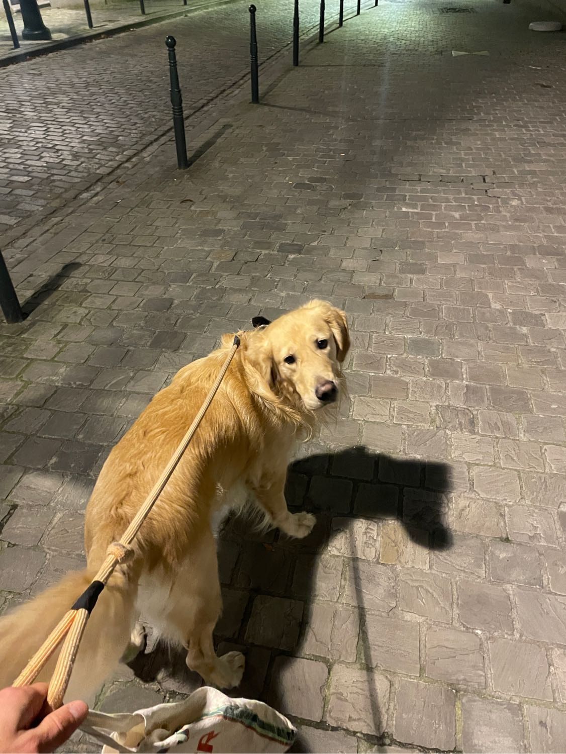 image-8