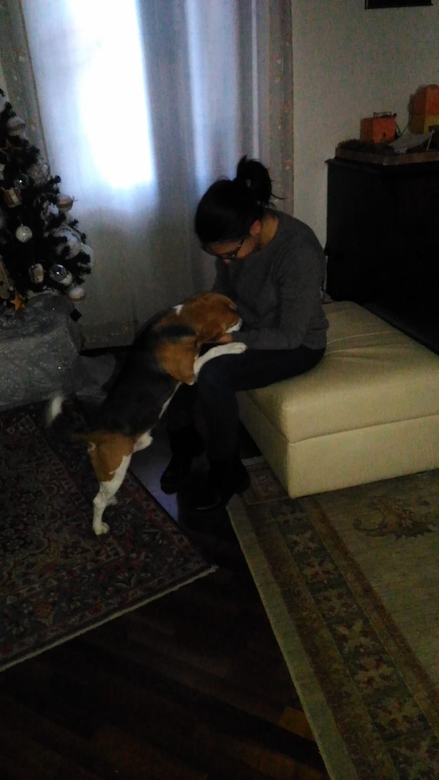 image-8