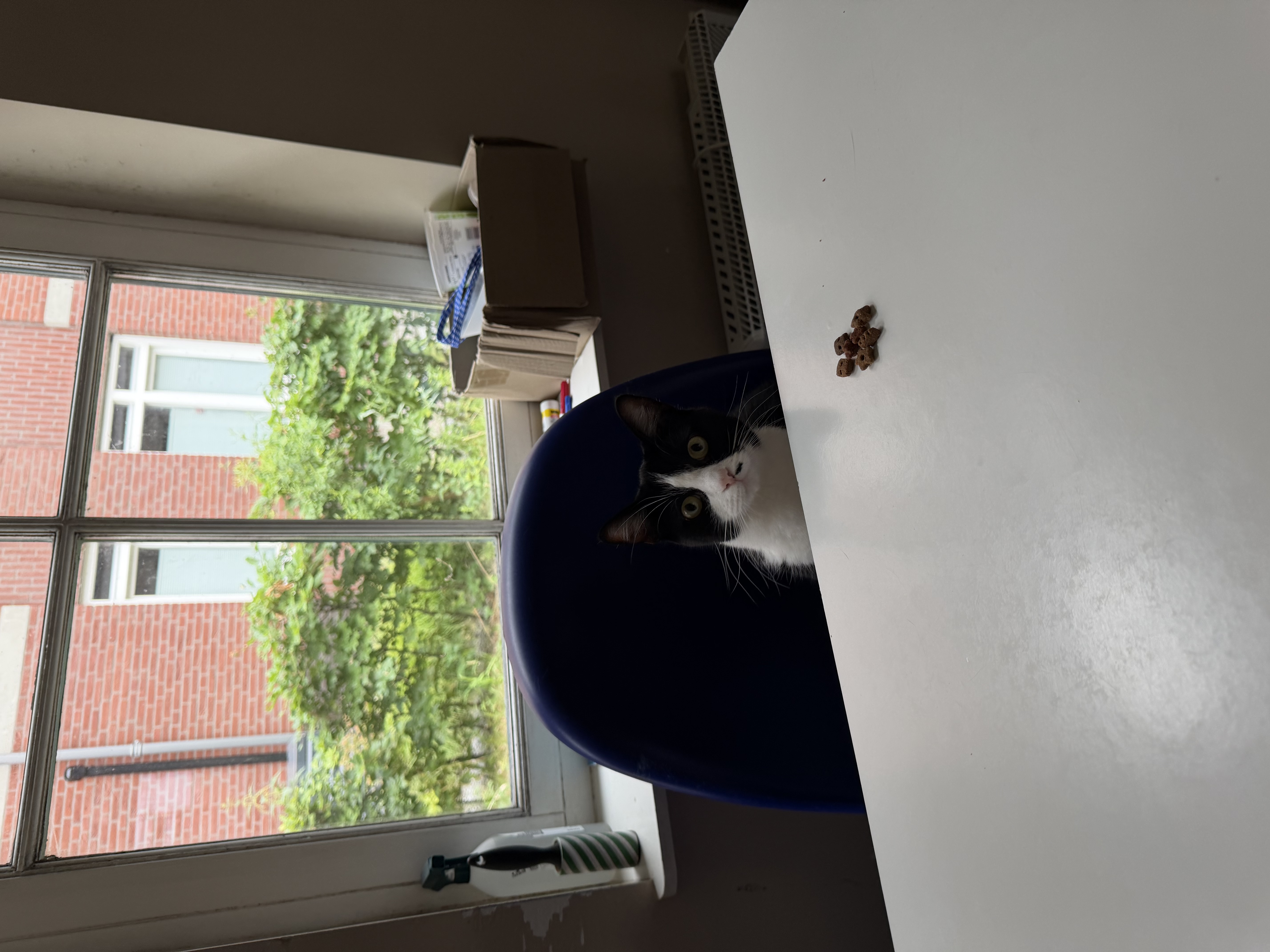 image-41