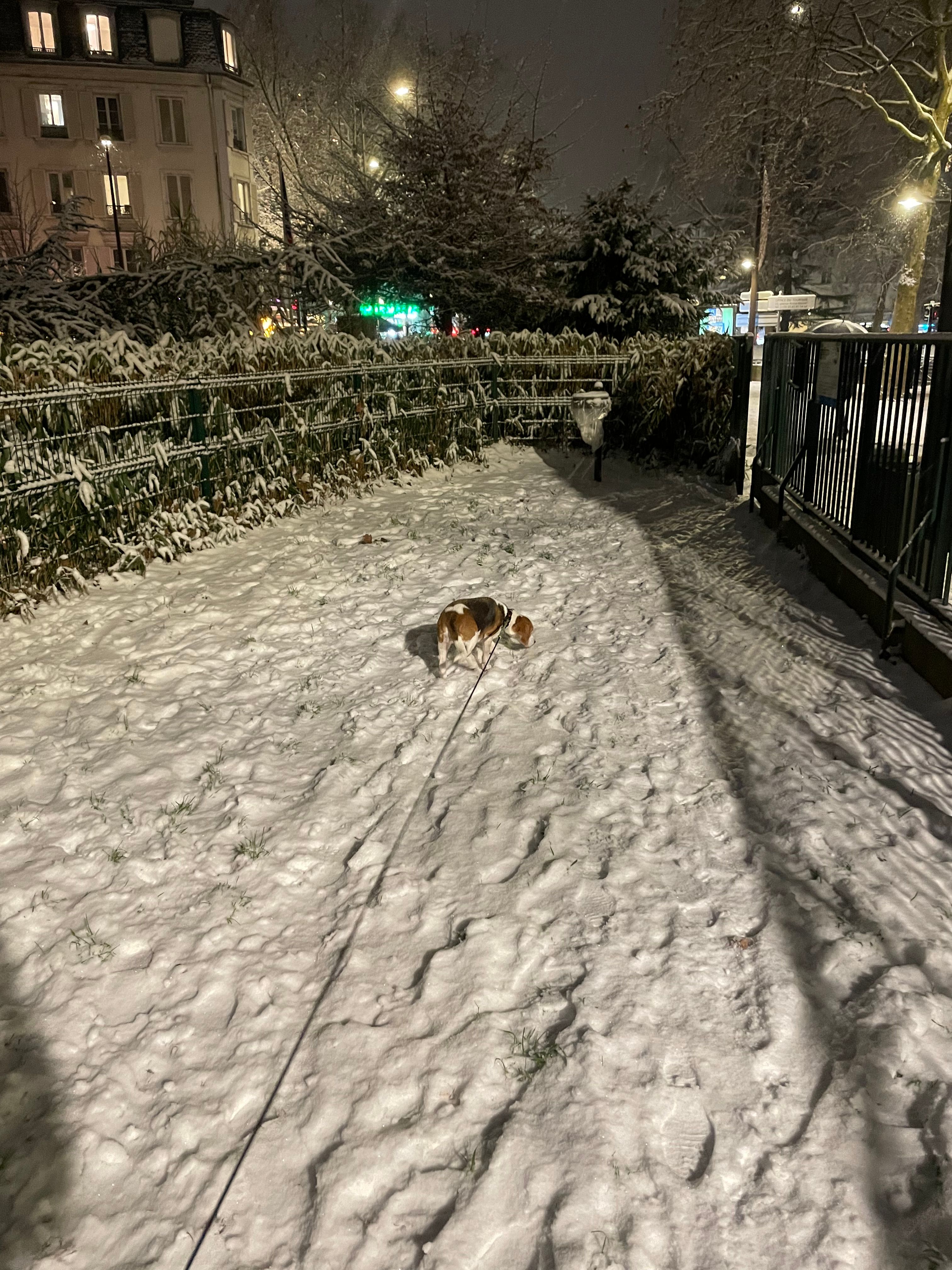image-11