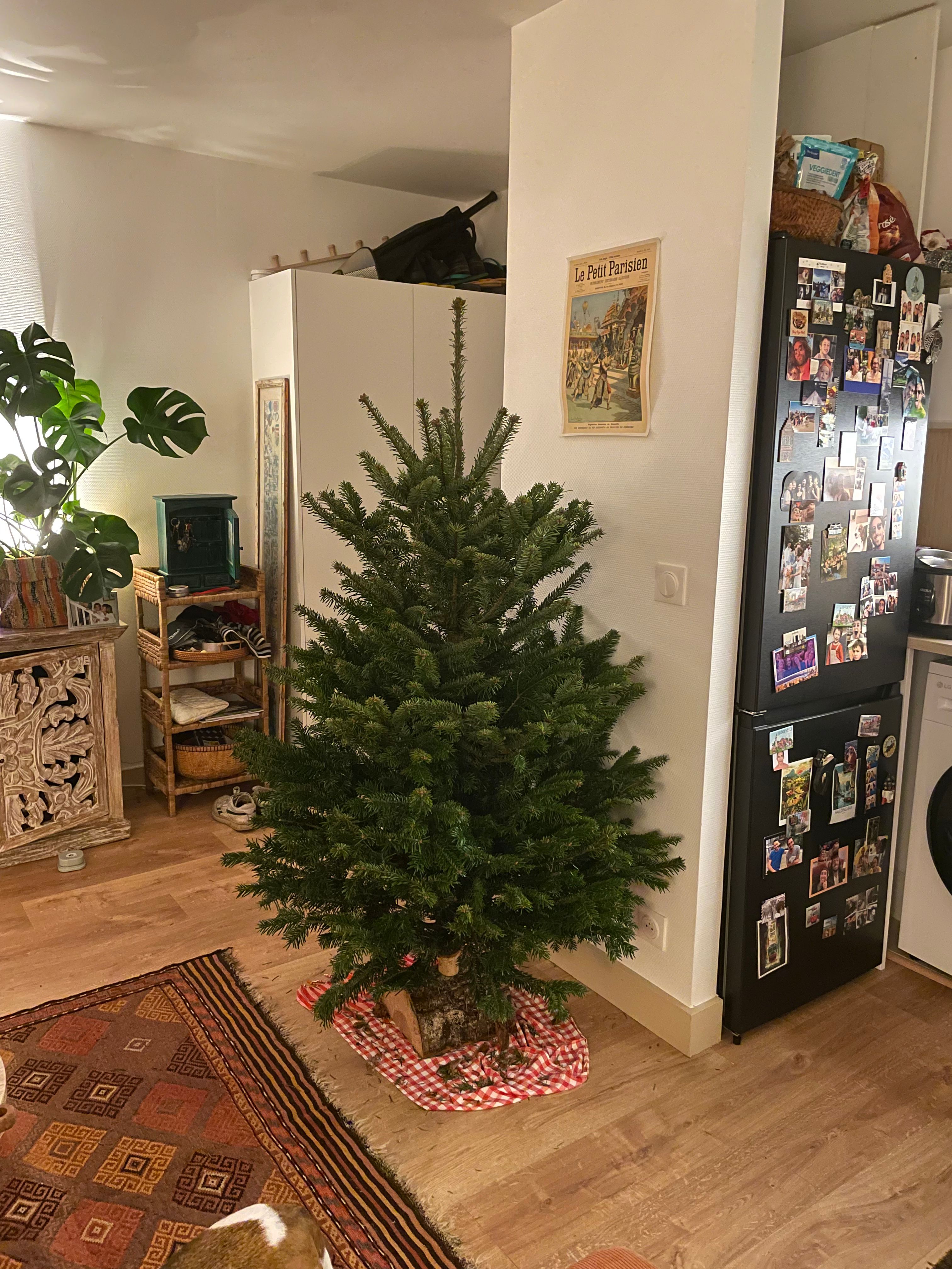 image-19