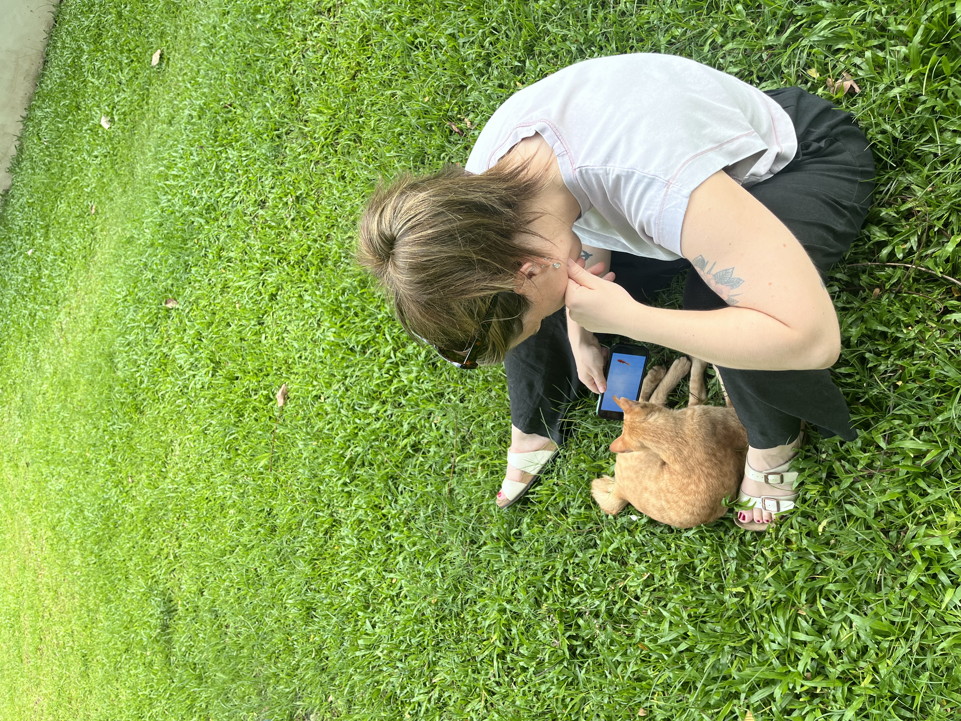 image-6