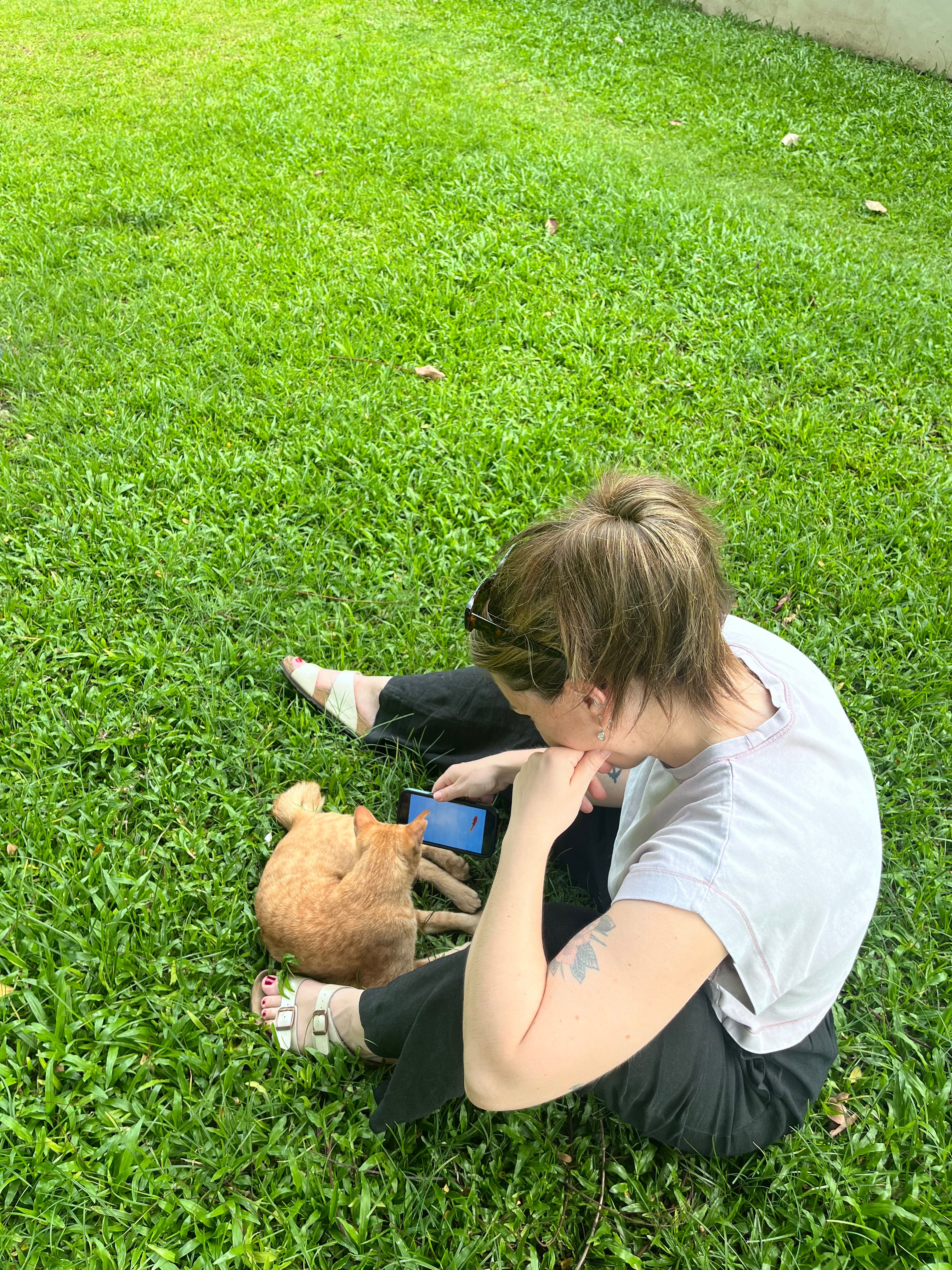 image-6