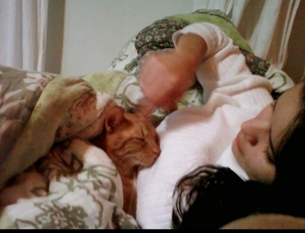 image-5