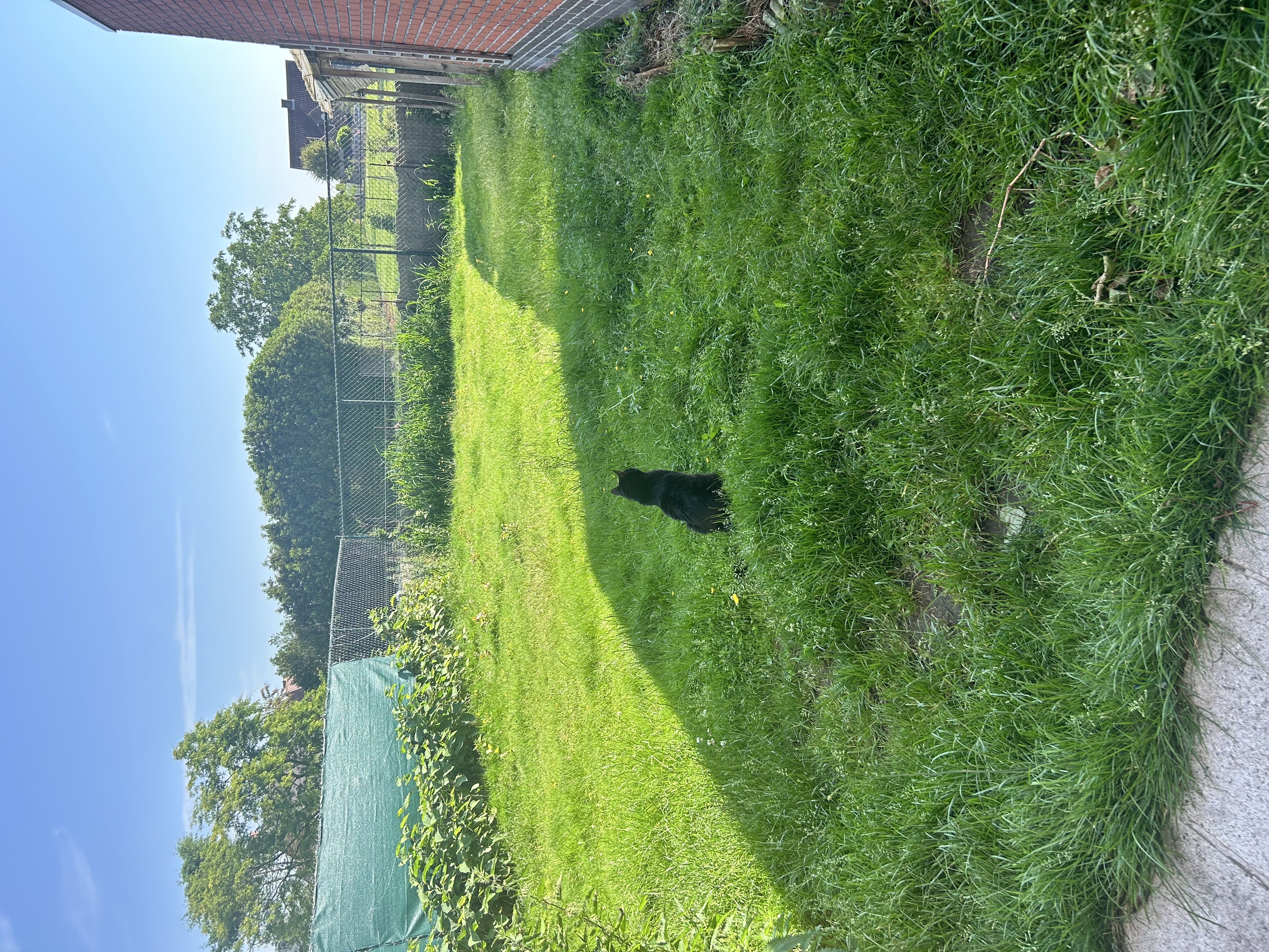 image-5