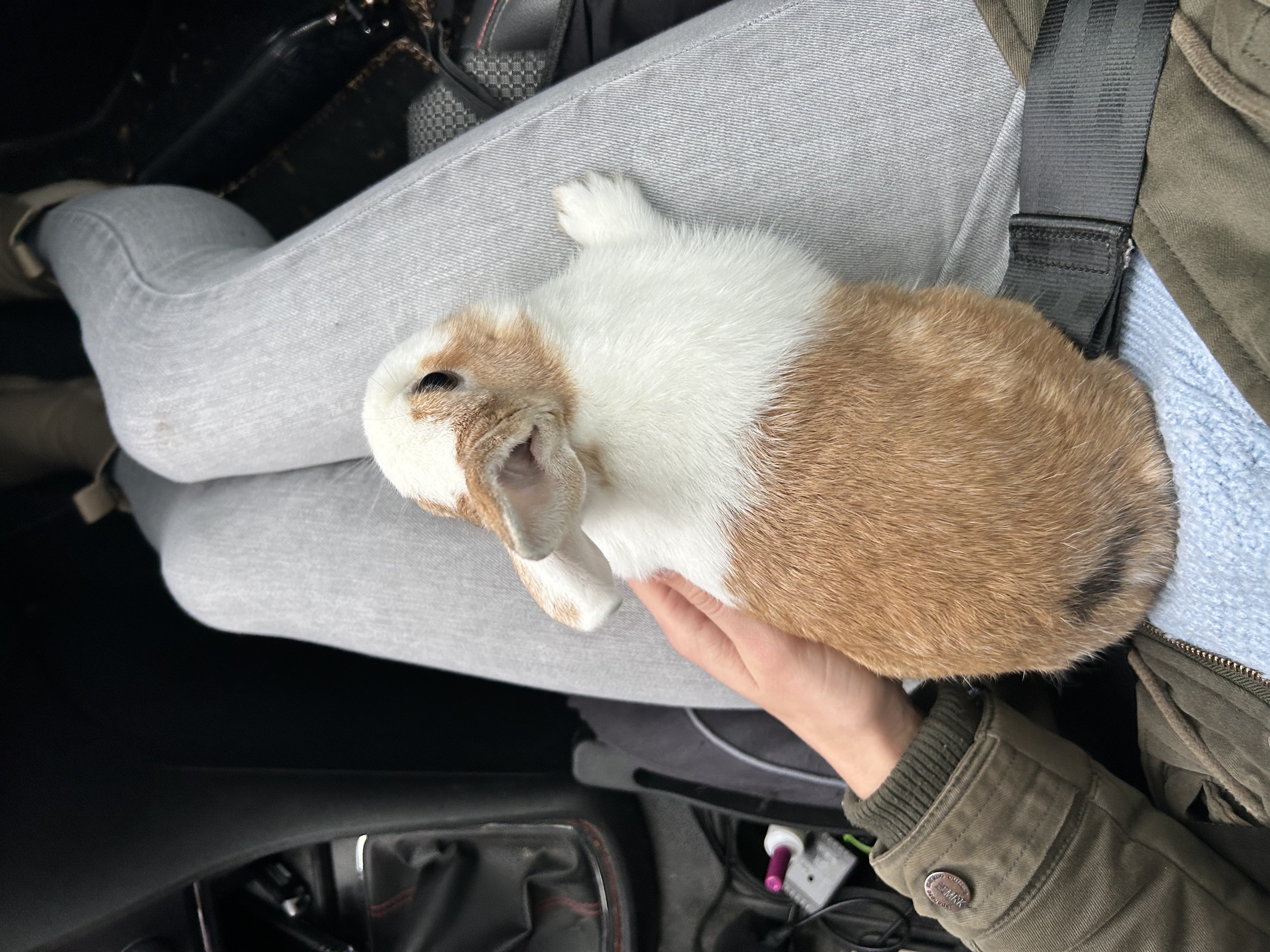 image-10