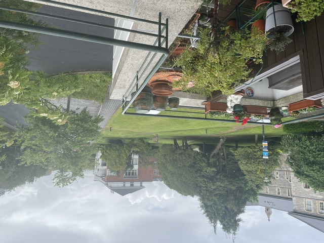 image-8