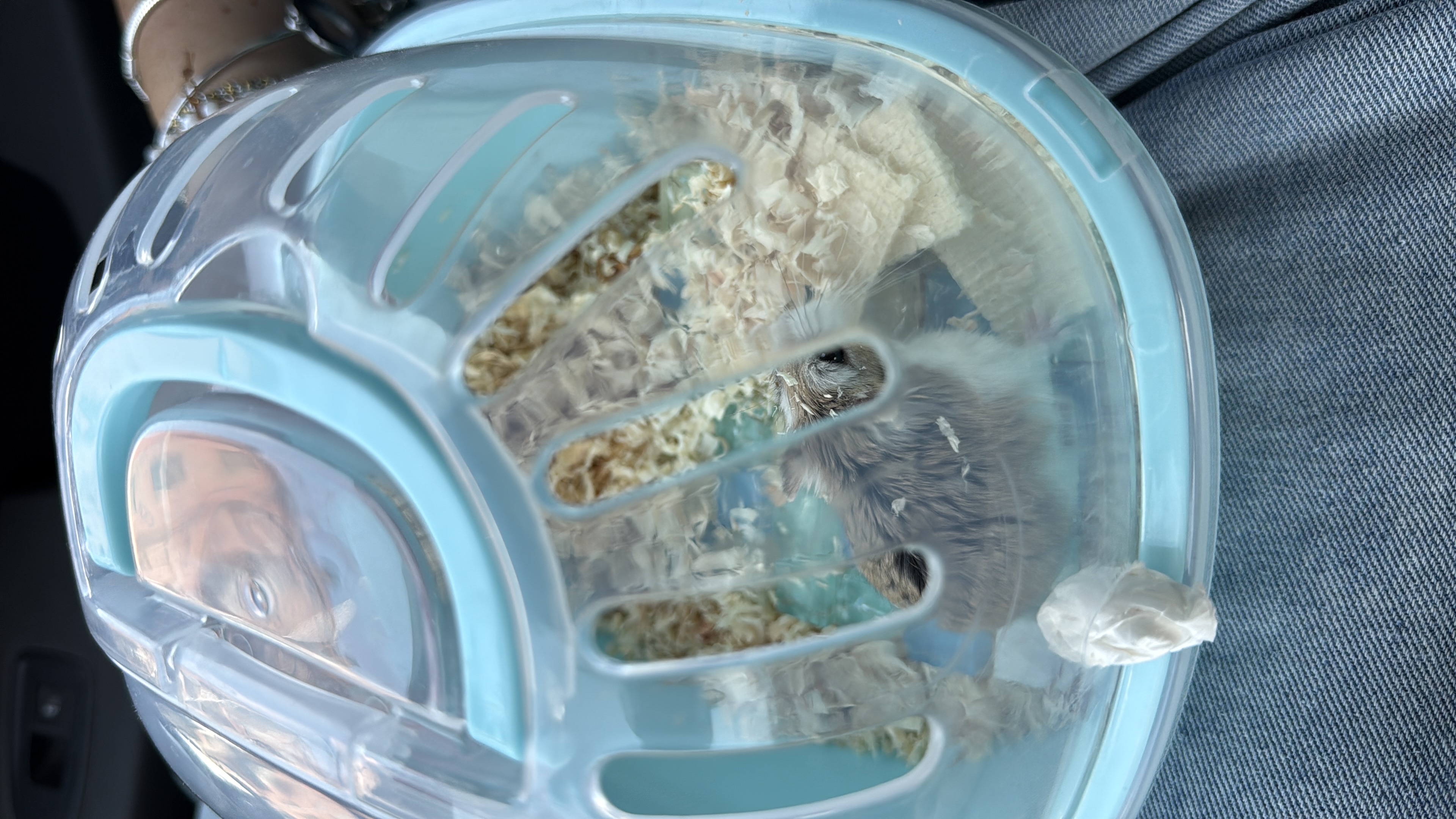 image-9