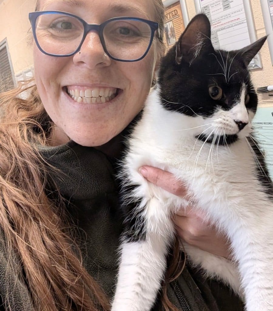 image-27