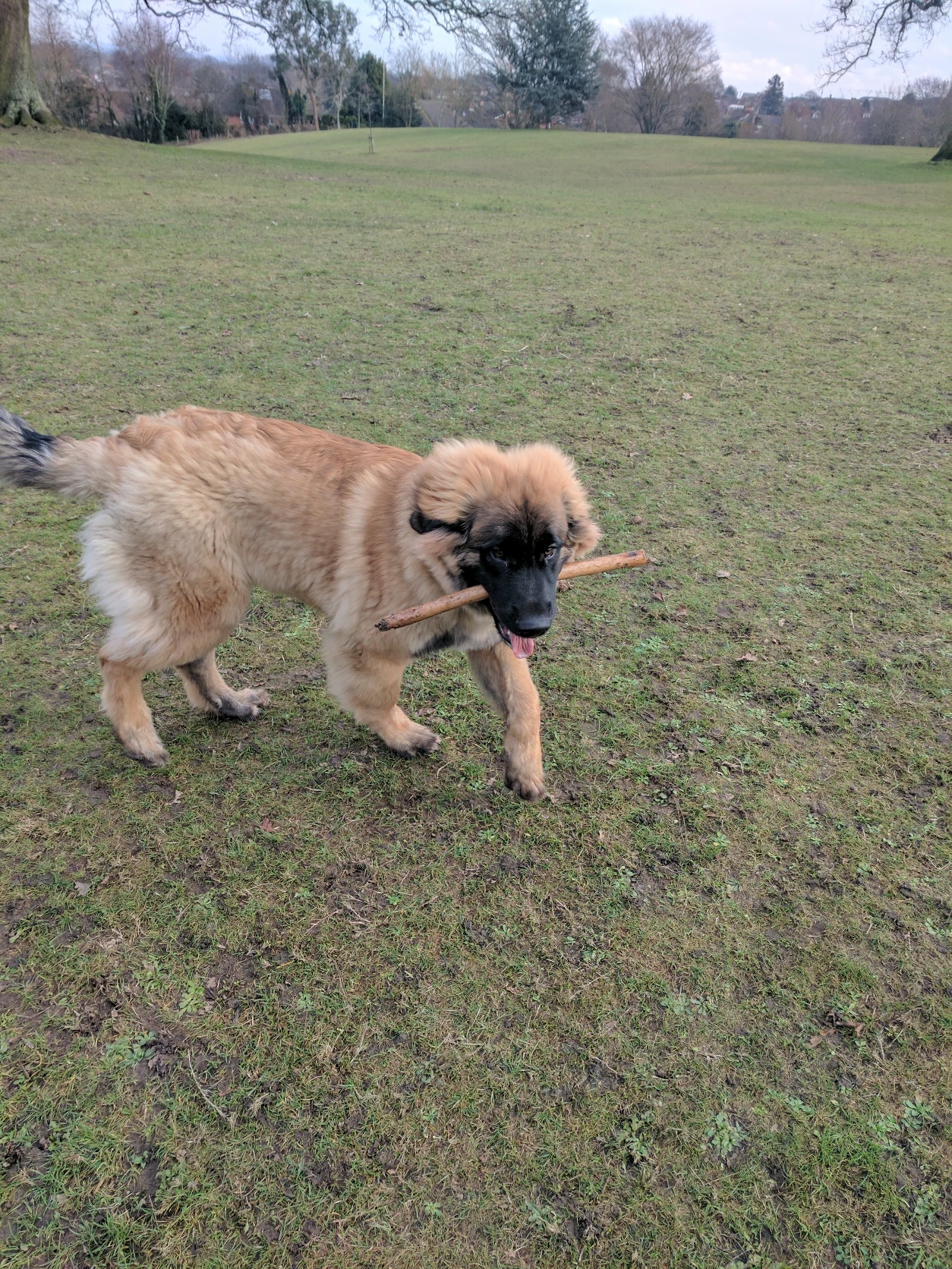 image-5