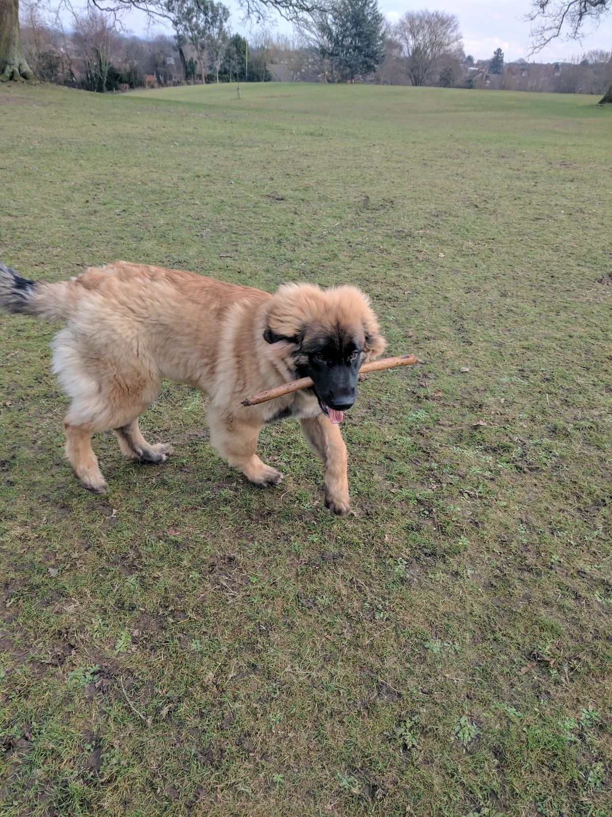 image-5