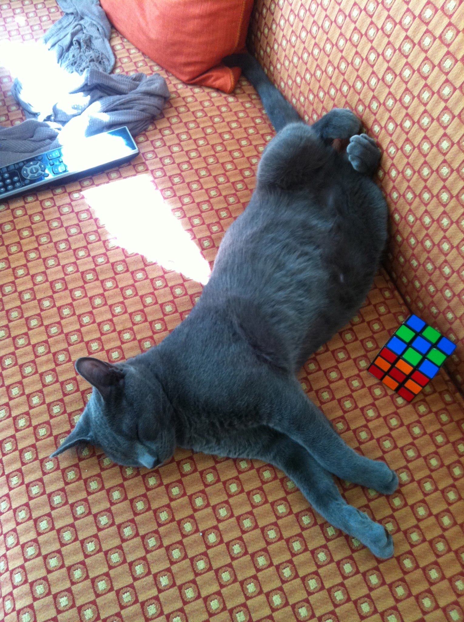 image-8