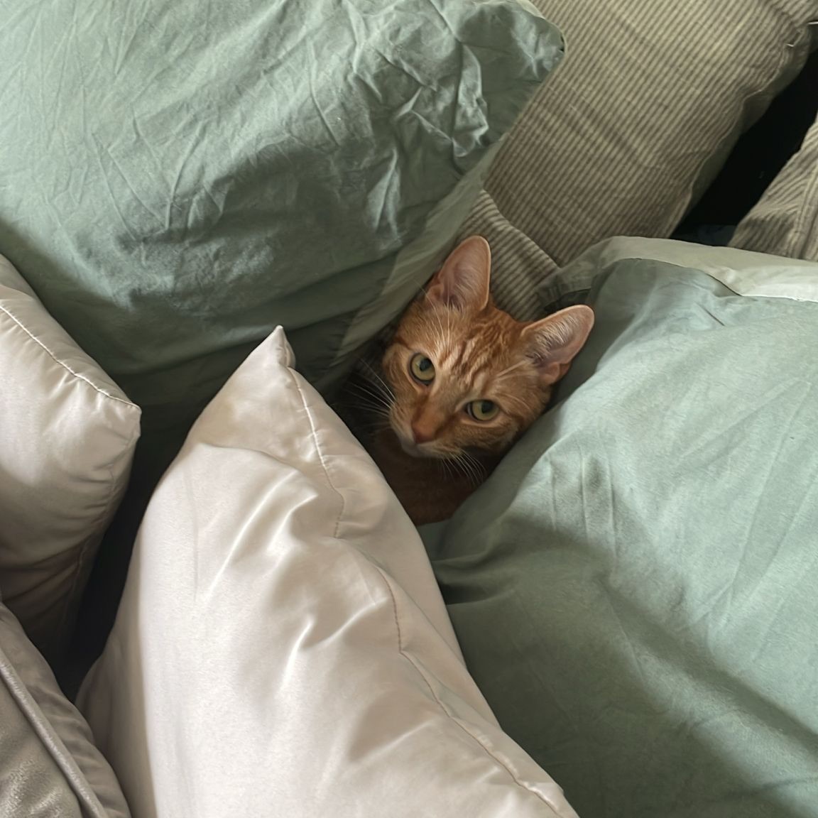 Maggie