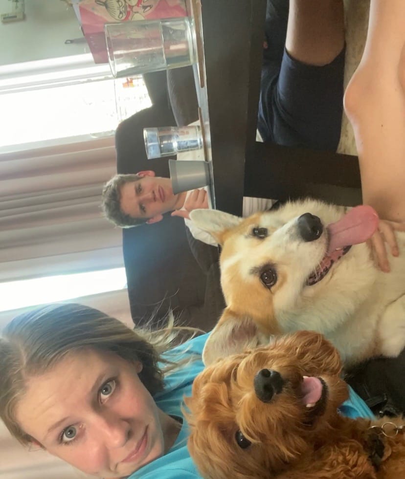 image-8