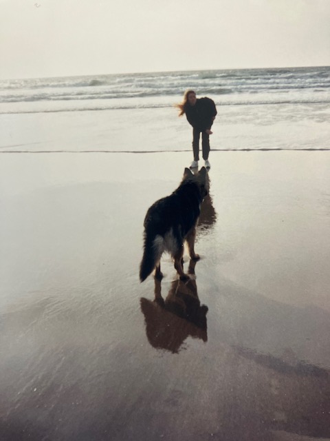 image-24