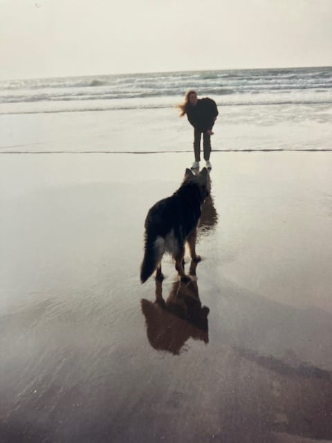 image-24