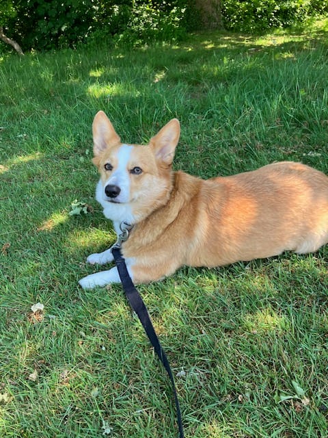 image-14