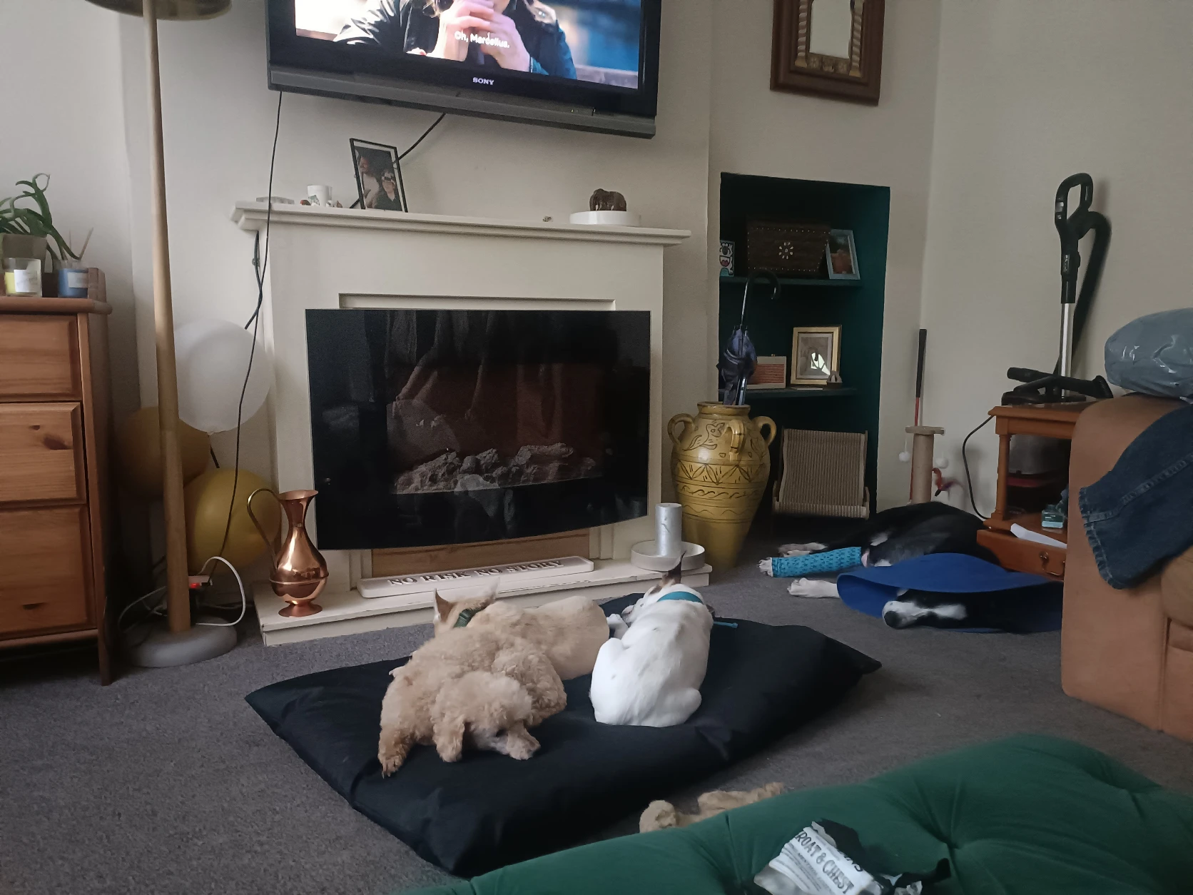 image-19
