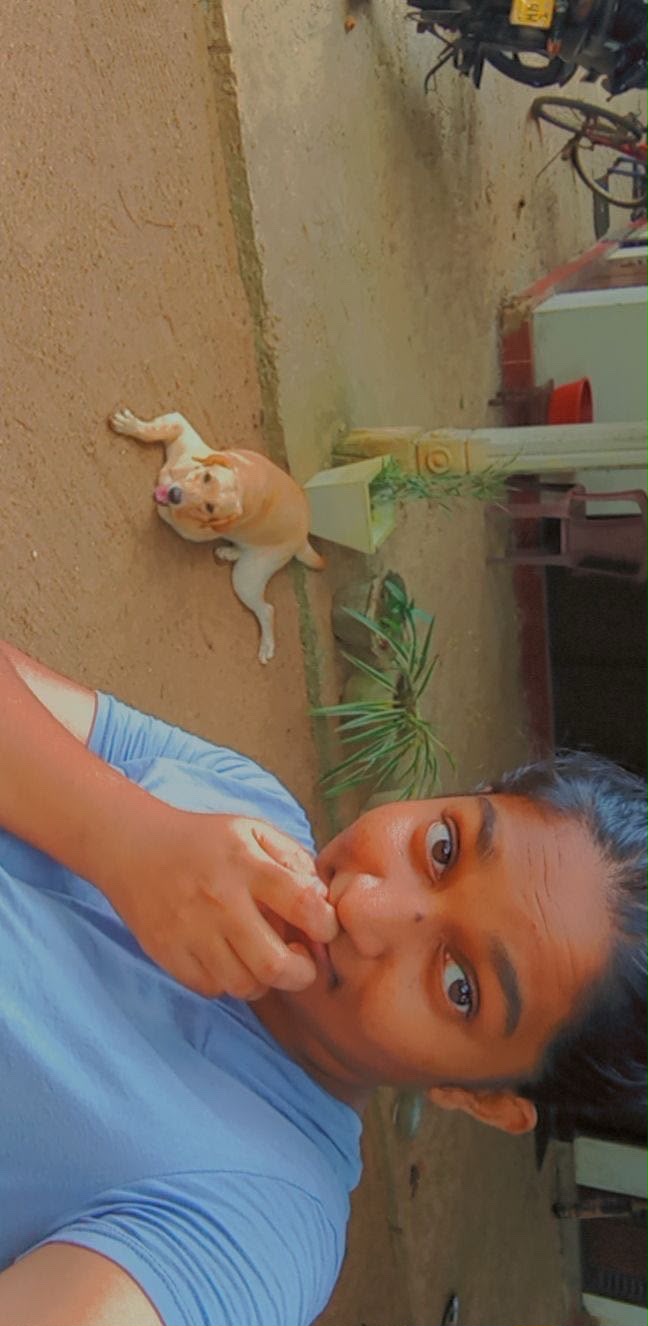 image-5
