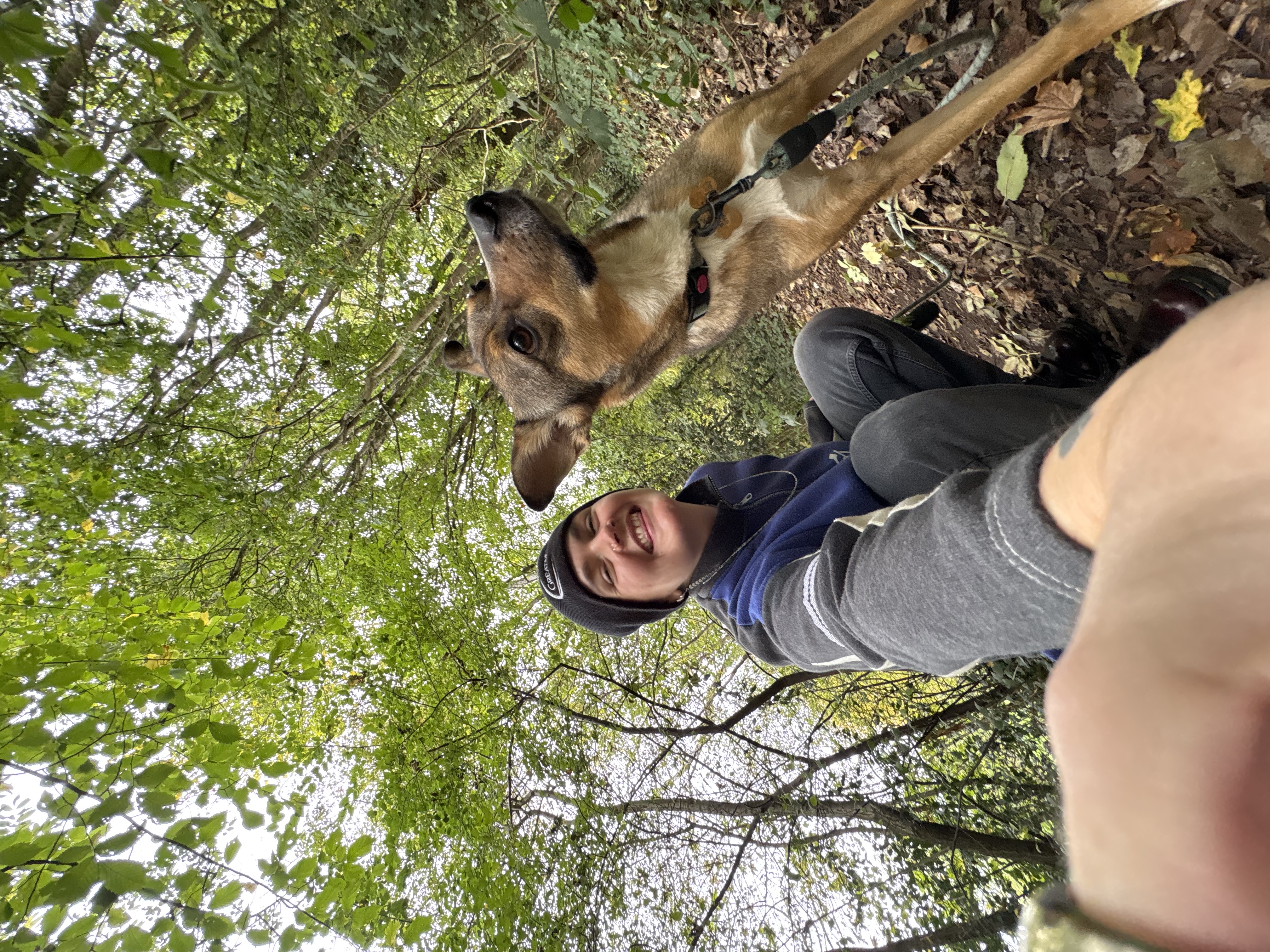 image-8