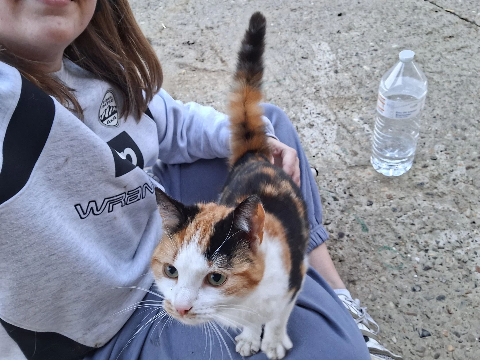 image-6