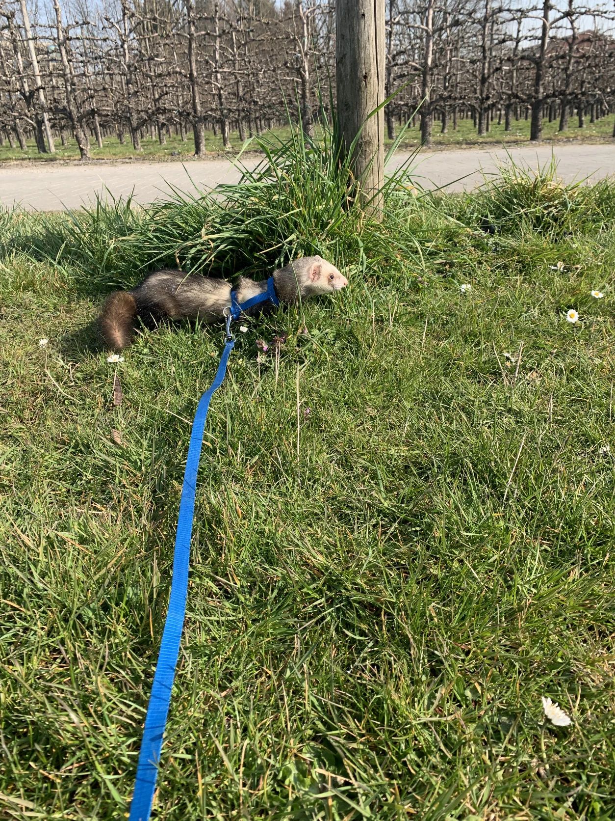 image-7