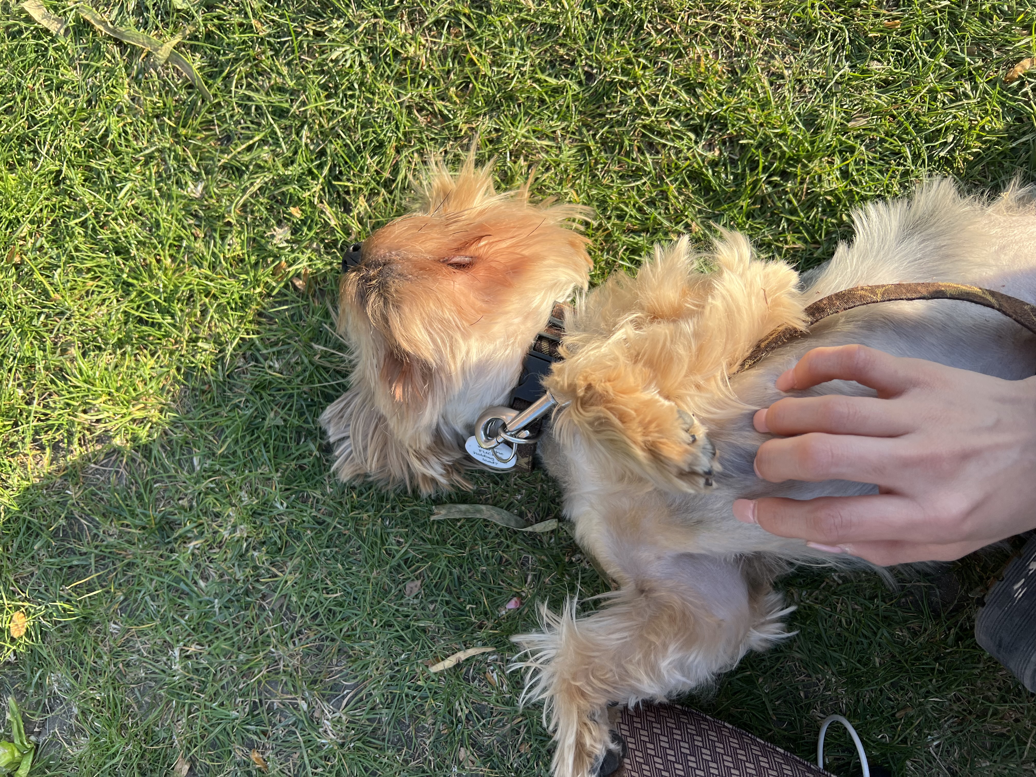 image-6