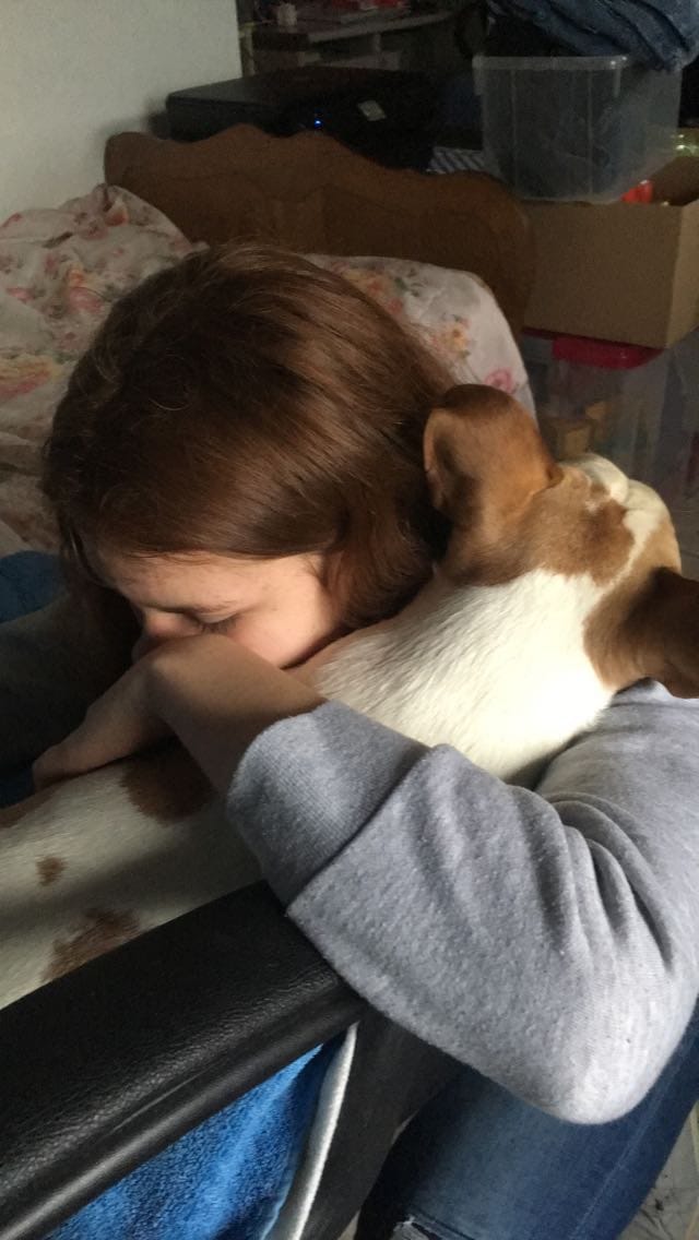 image-5
