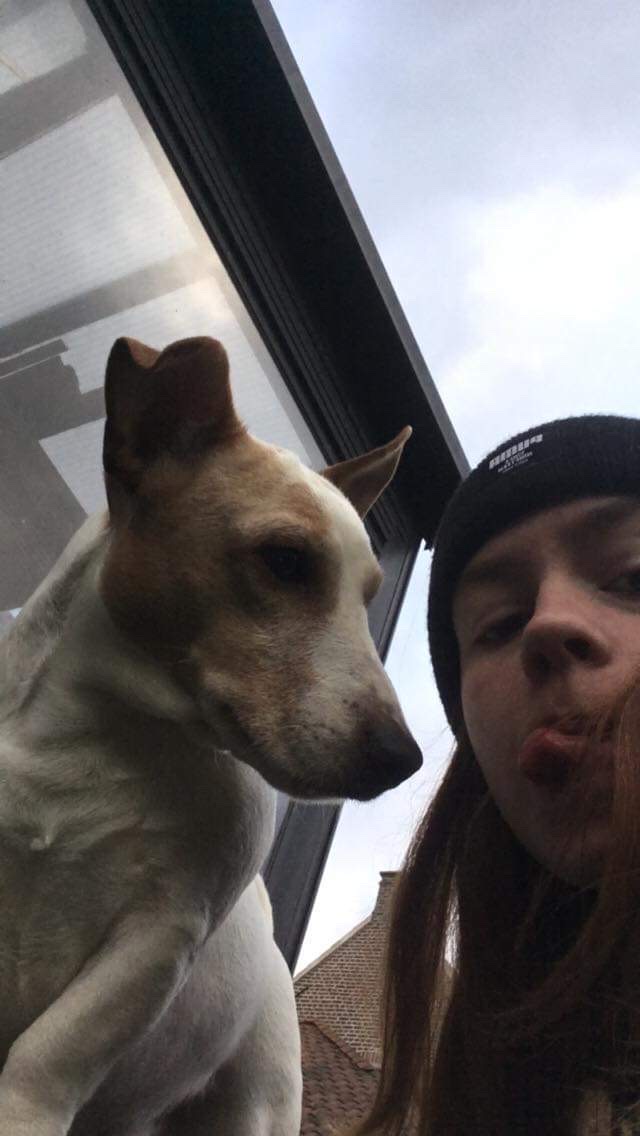 image-6