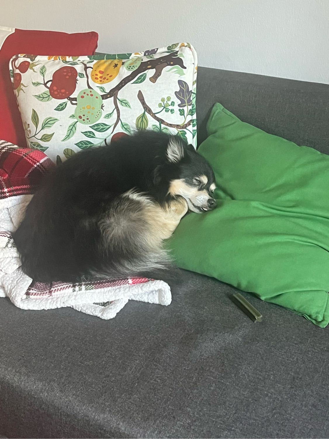 image-11