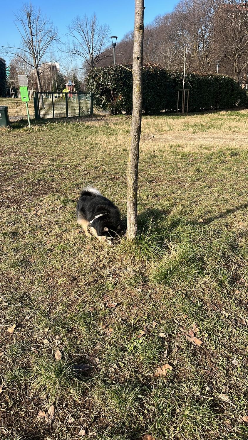 image-8