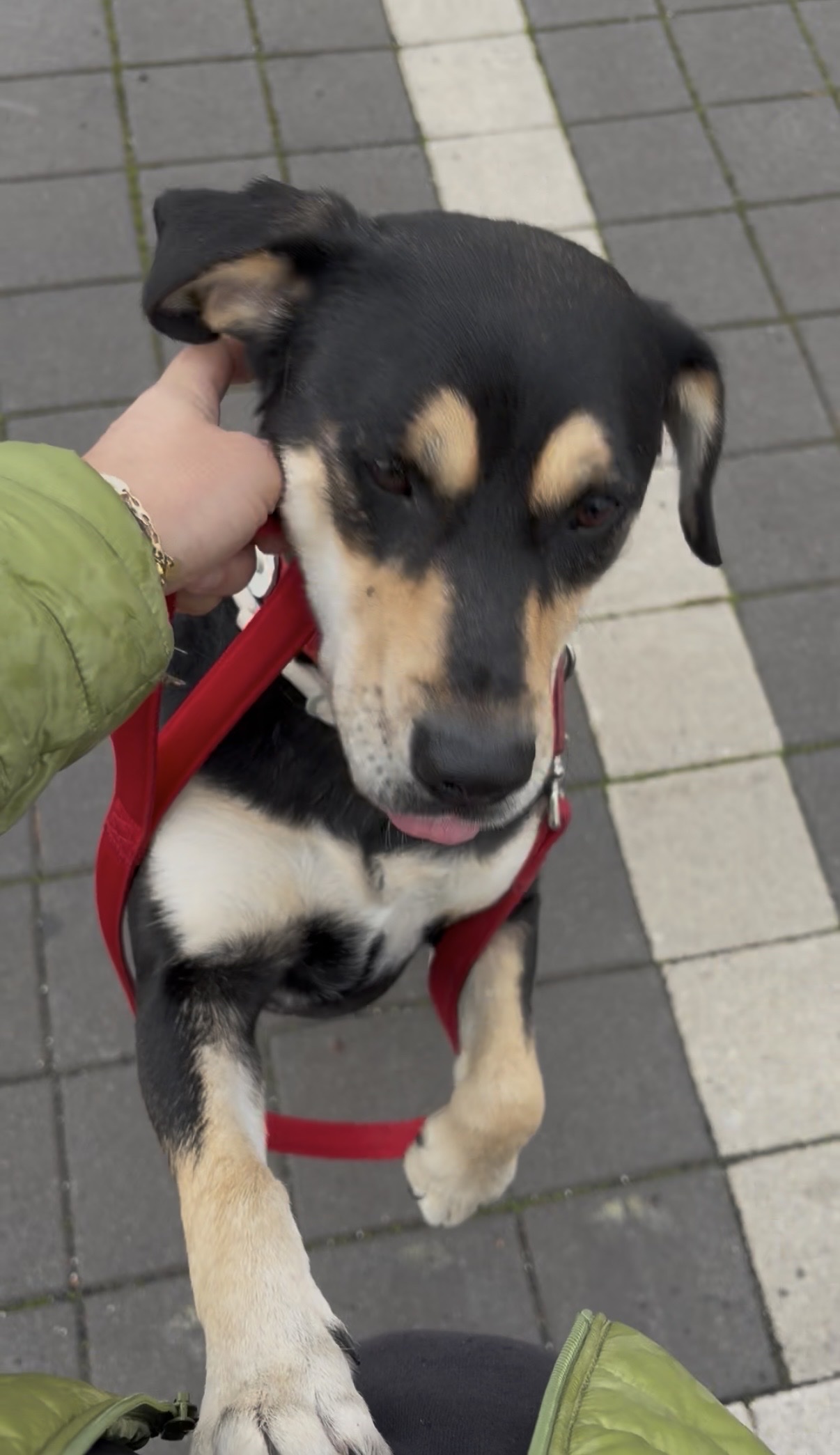 image-5