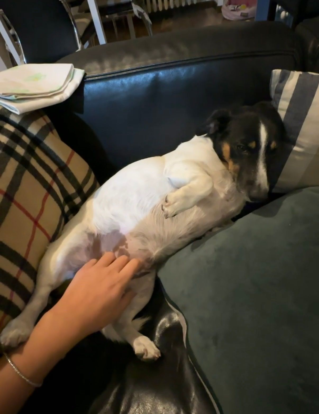 image-7